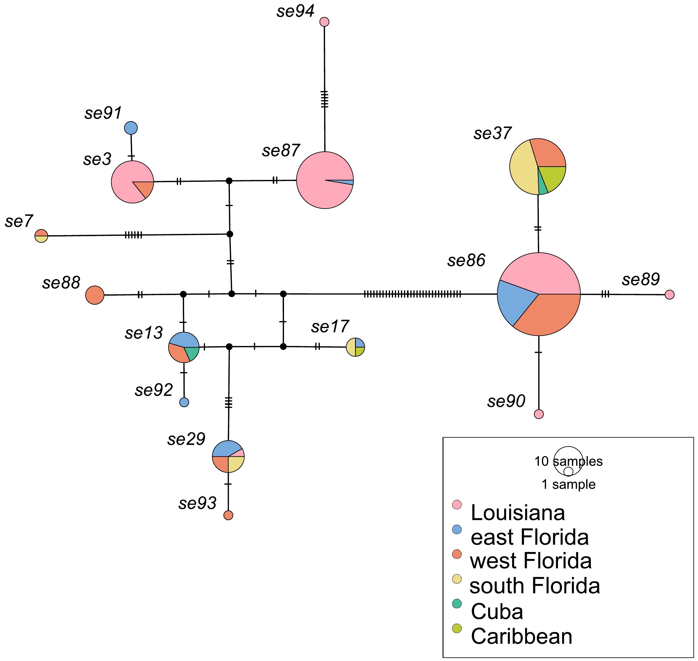 Network diagram showing genetic relationships among different samples labeled as se3, se7, se13, se17, se29, se37, se86, se87, se88, se89, se90, se91, se92, se93, and se94. Circles represent samples, color-coded by region: Louisiana, east Florida, west Florida, south Florida, Cuba, and Caribbean. The size of circles indicates the number of samples as shown in the legend. Lines connect samples, indicating genetic links.