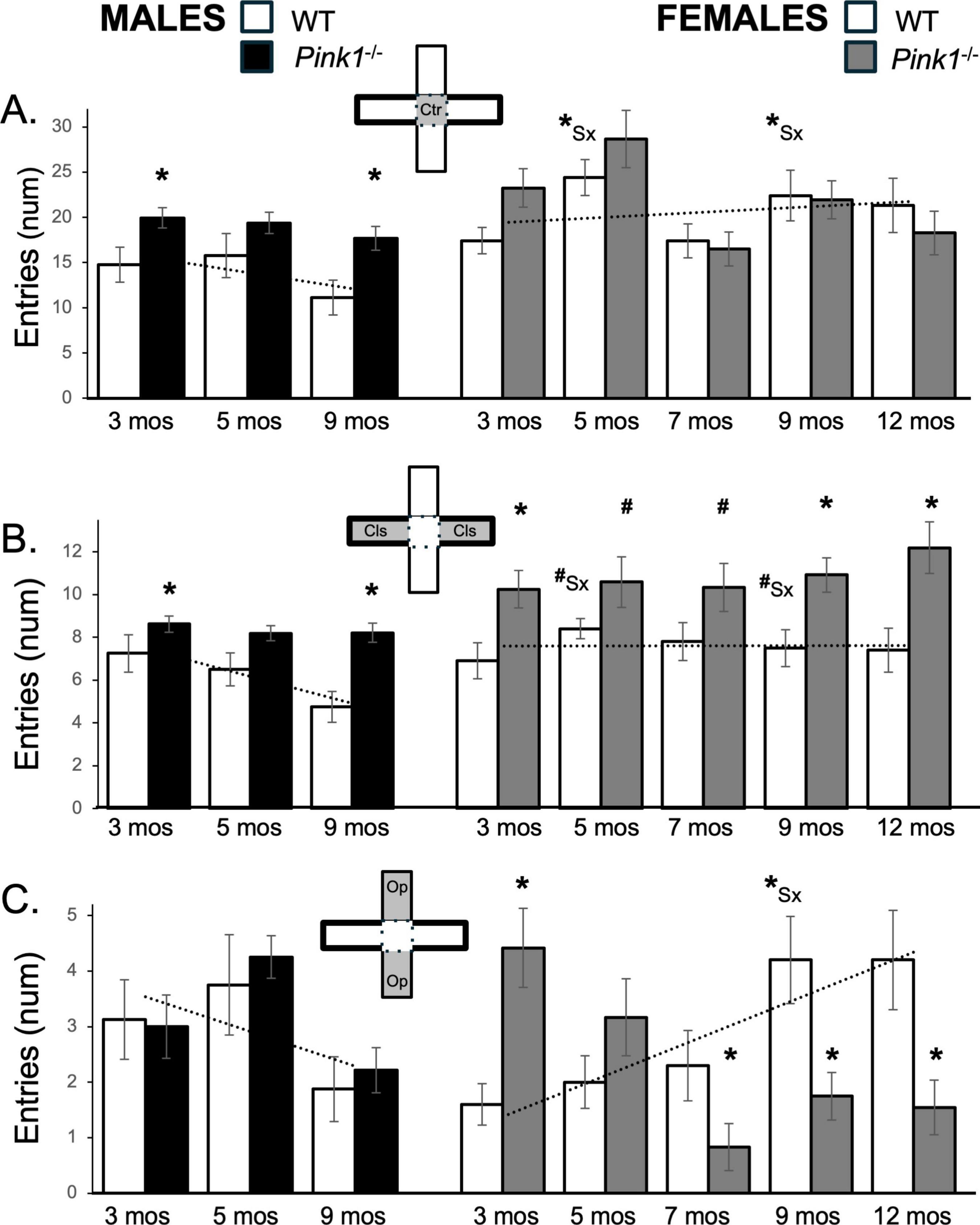 Bar graphs showing entries for male and female mice over various months in three conditions: A) Centre, B) Closed arms, C) Open arms. Data compare WT and Pink1^-/- groups. Males and females show different entry patterns over time, with significant differences marked by asterisks and hashes.