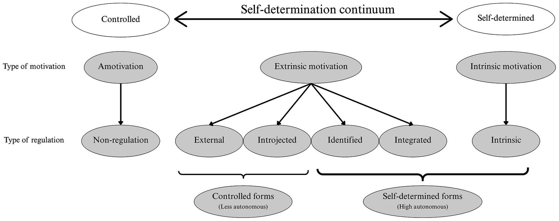 Flowchart depicting the self-determination continuum. At the top, a continuum from