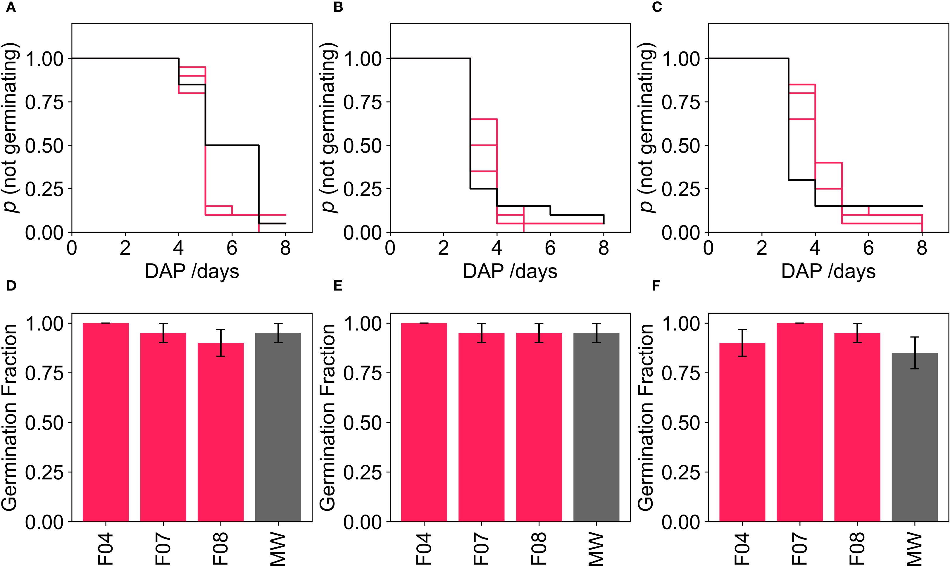 Six-panel image showing seed germination analysis. Panels A, B, and C display step plots of the probability of not germinating over days after planting (DAP), with varying curves in black and pink. Panels D, E, and F feature bar graphs showing germination fractions for F04, F07, F08, and MMW, with error bars. Each panel reflects different experimental conditions or seed treatments.