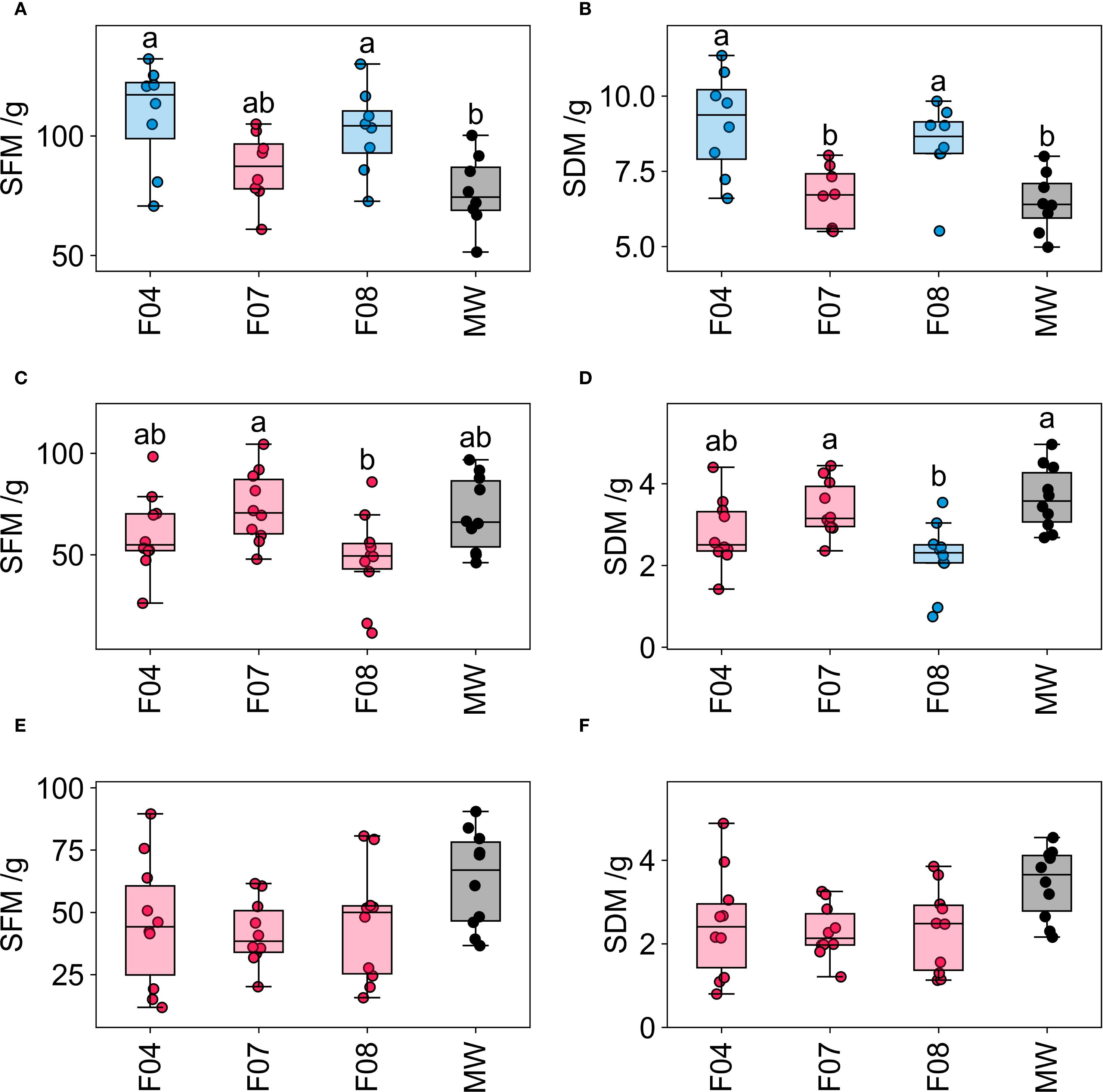 Box plots comparing different groups (F04, F07, F08, MWV) for metrics SFM and SDM across six panels (A to F). In each panel, the median, quartiles, and outliers for each group are depicted, with distinct color coding and letter annotations indicating statistical differences.