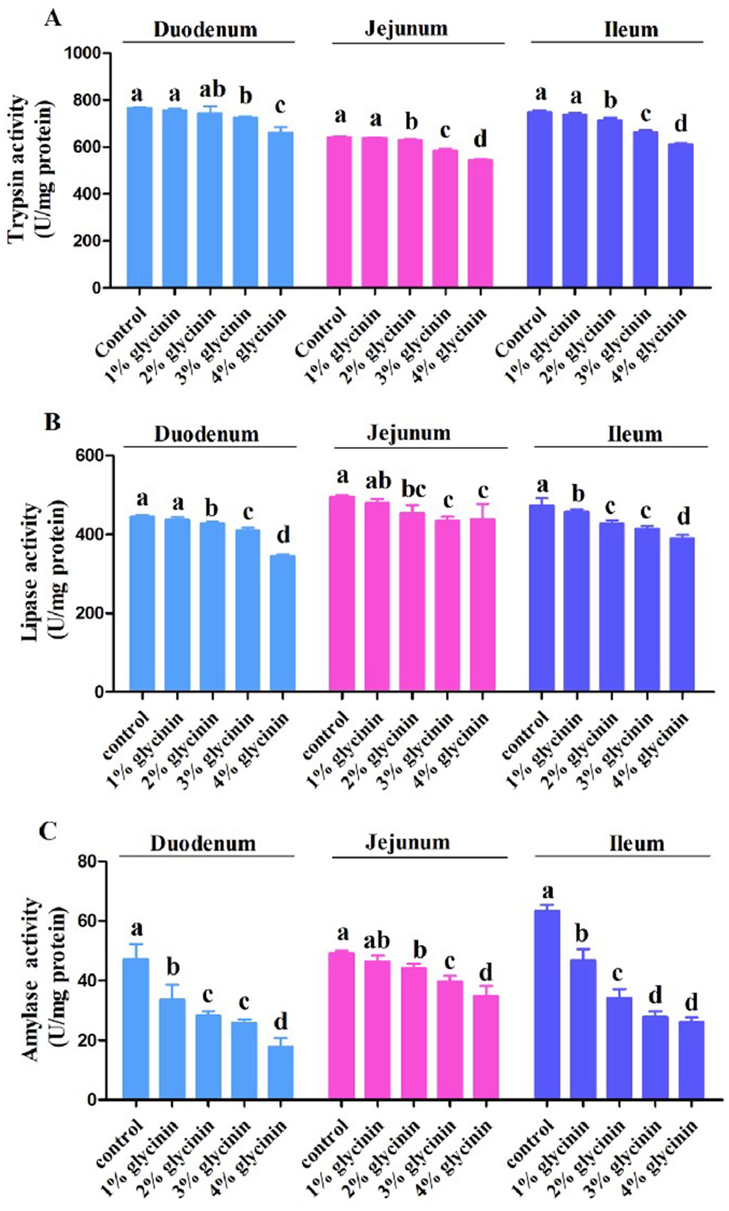 Bar charts depicting enzyme activity in the duodenum, jejunum, and ileum. Chart A shows trypsin activity, chart B shows lipase activity, and chart C shows amylase activity. Each chart compares control and varying glycinin concentrations (one percent to four percent), with different lowercase letters indicating statistically significant differences.