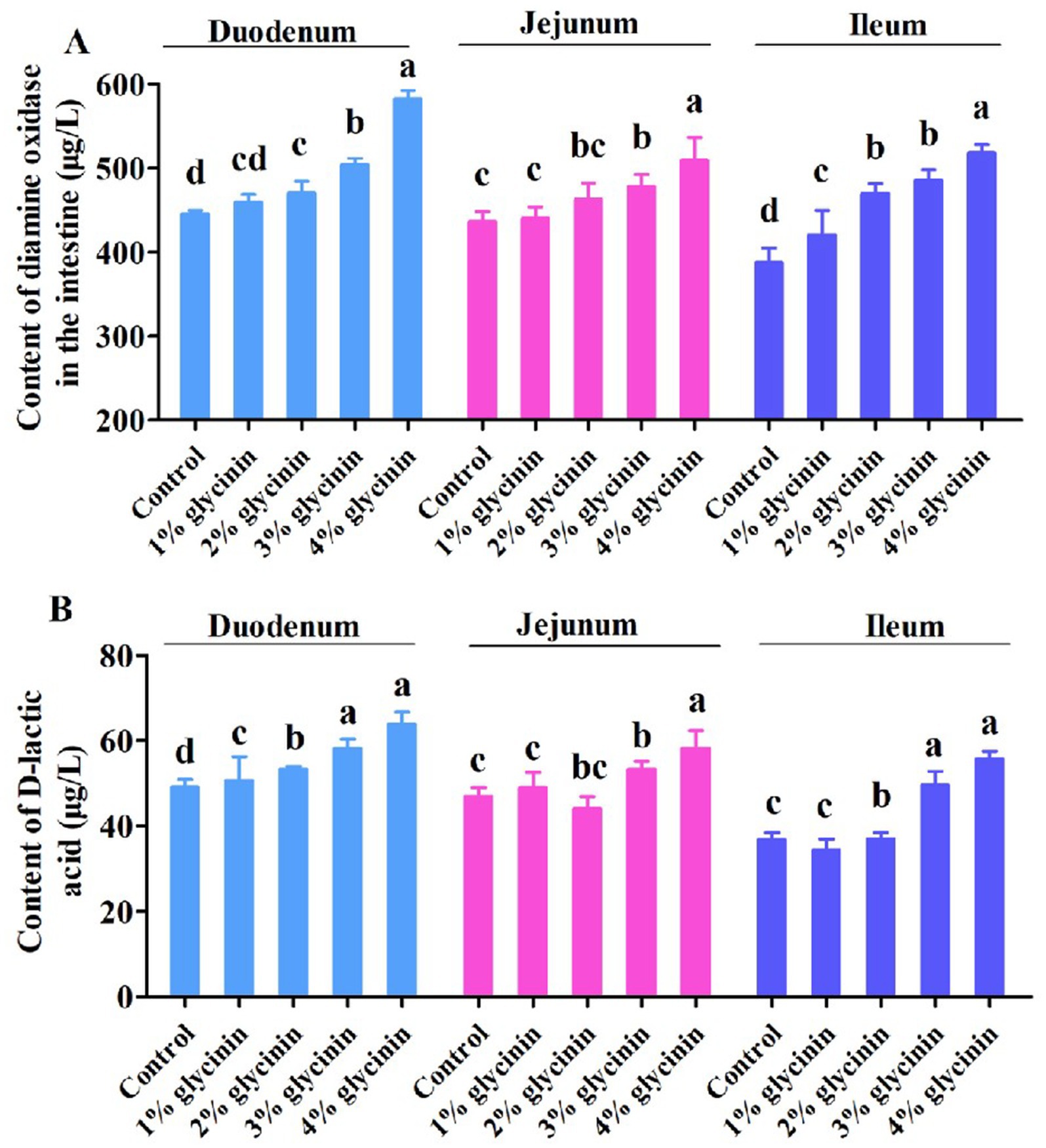 Bar charts showing the effects of varying glycinin levels ondiamine oxidase and D-lactic acid in different intestinal sections. Chart Aillustrates higher diamine oxidase levels with increasing glycinin. Chart B presents D-lactic acid content,again indicating higher levels with increased glycinin.