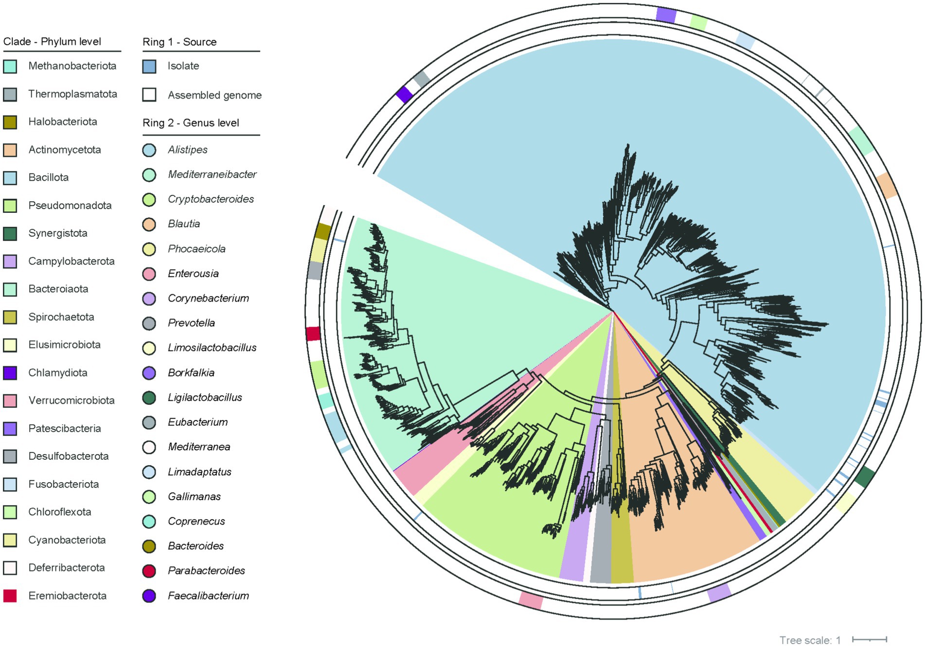 Circular phylogenetic tree illustrating bacterial relationships, with colored segments representing different phyla. A legend shows phylum-level clades and genus sources. Rings indicate whether samples are isolated or from assembled genomes.