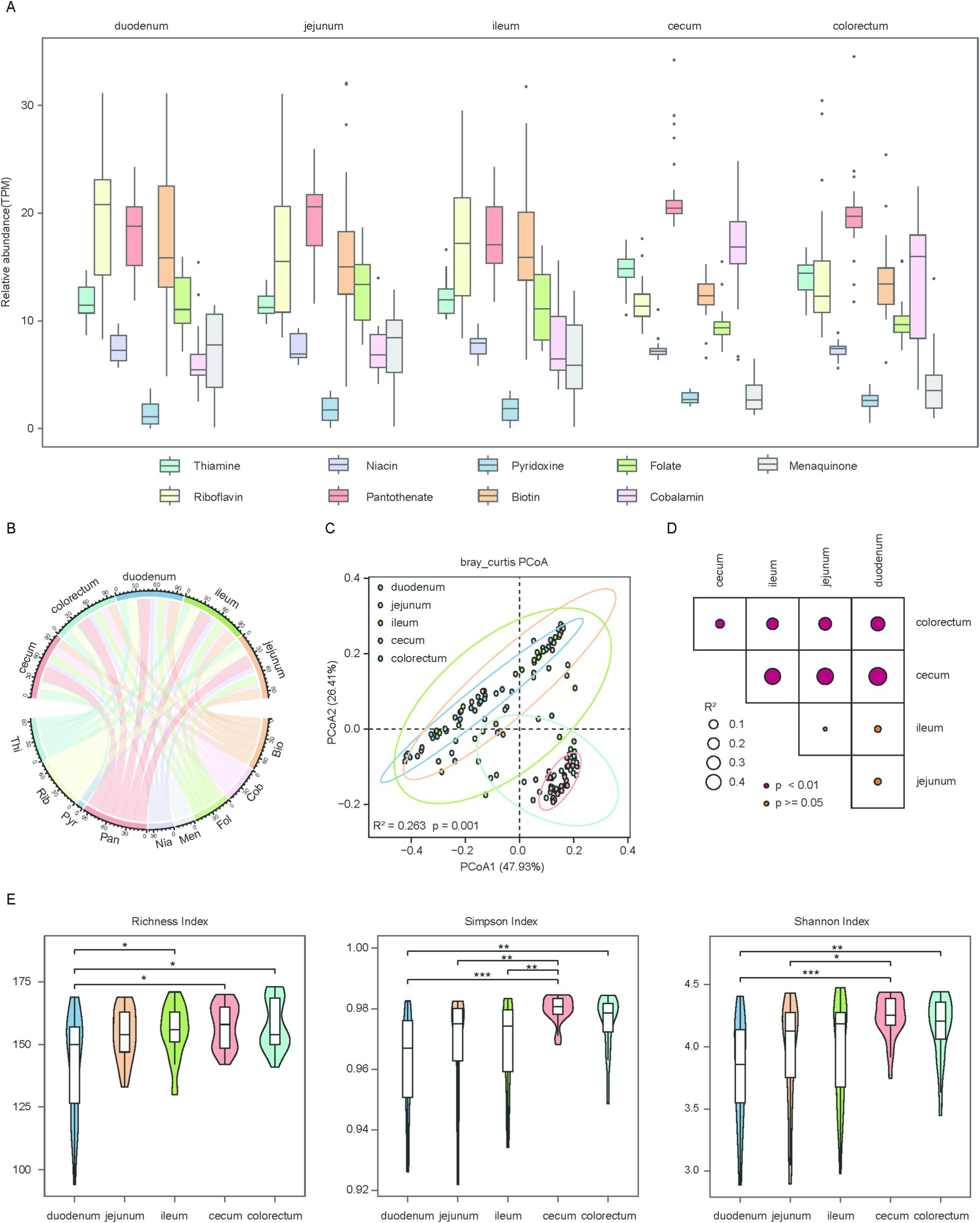 Five-panel scientific figure analyzing nutrient abundance and microbiome diversity across different intestinal regions. (A) Box plots represent relative nutrient abundance in duodenum to colorectum. (B) Circular diagram shows nutrient connections across regions. (C) PCoA plot indicates microbial diversity distribution among regions. (D) Heatmap displays statistical significance of differences. (E) Violin plots illustrate richness, Simpson, and Shannon indices, comparing diversity metrics across regions.