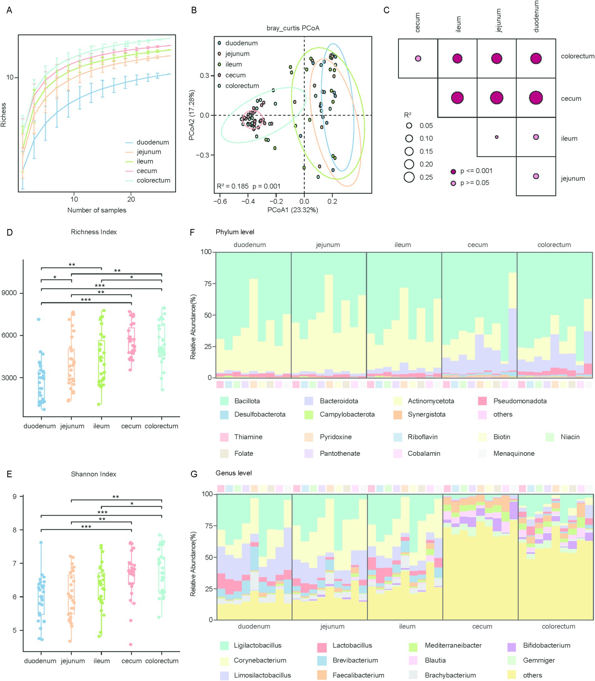 Panel of microbiome diversity and composition analyses across different gut sections: A) Line graph showing richness by sample number for duodenum, jejunum, ileum, cecum, and colorectum. B) PCoA plot using Bray-Curtis distances illustrating sample clustering by gut section. C) Correlogram displaying pairwise comparisons. D) Dot plot of richness index values. E) Dot plot of Shannon index values. F) Stacked bar chart of phylum-level relative abundance. G) Stacked bar chart of genus-level relative abundance. Various statistical significance indicators are present.
