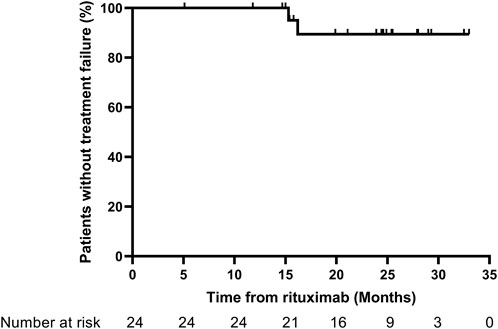 Kaplan-Meier curve showing the percentage of patients without treatment failure over time in months following rituximab treatment. The graph starts at 100 percent and gradually decreases, indicating treatment failures over time. The x-axis denotes time from rituximab in months, and the y-axis shows the percentage of patients. The numbers at risk decrease over time, starting with twenty-four patients.