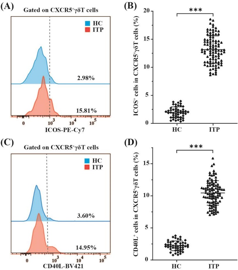 Flow cytometry histograms and scatter plots comparing HC and ITP groups. (A) Histogram of ICOS expression with higher percentage in ITP (15.81%) than HC (2.98%). (B) Scatter plot showing significant difference in ICOS+ cells percentage between HC and ITP. (C) Histogram of CD40L expression with higher percentage in ITP (14.95%) than HC (3.60%). (D) Scatter plot showing significant difference in CD40L+ cells percentage between HC and ITP. Asterisks indicate statistically significant differences.