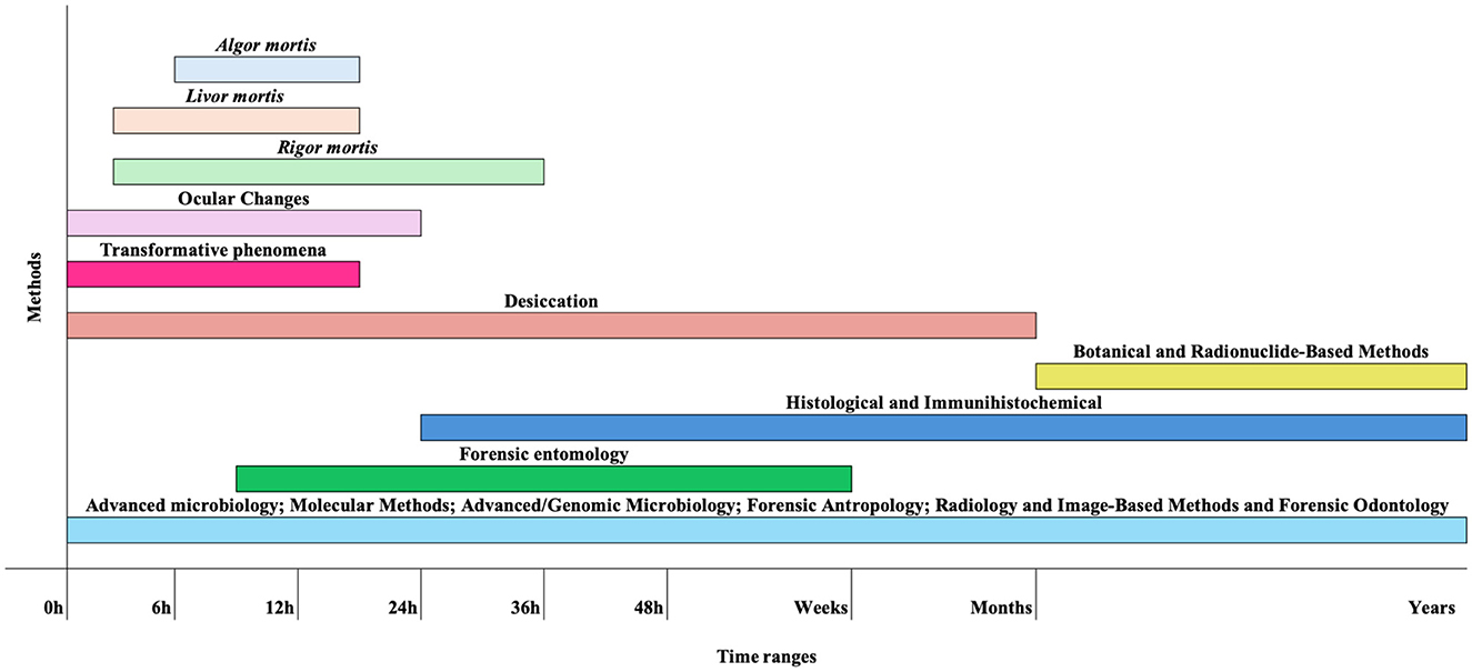 Timeline chart depicting various forensic methods and physiological changes over time after death. Changes like algor mortis, livor mortis, and rigor mortis occur within hours. Desiccation and transformative phenomena span weeks. Methods like forensic entomology, histological, molecular, and radiological techniques extend across weeks to years. Horizontal bars represent specific time ranges for each method or change.