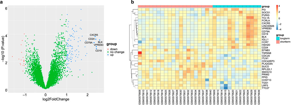 Panel a is a volcano plot showing gene expression data with labels. The x-axis is log2 fold change, and the y-axis is negative log10 p-value. Blue, green, and red dots represent upregulated, unchanged, and downregulated genes. Panel b is a heatmap showing expression levels of various genes across samples, with colors indicating expression level changes. The heatmap includes a dendrogram and groups samples into long-term and short-term categories.