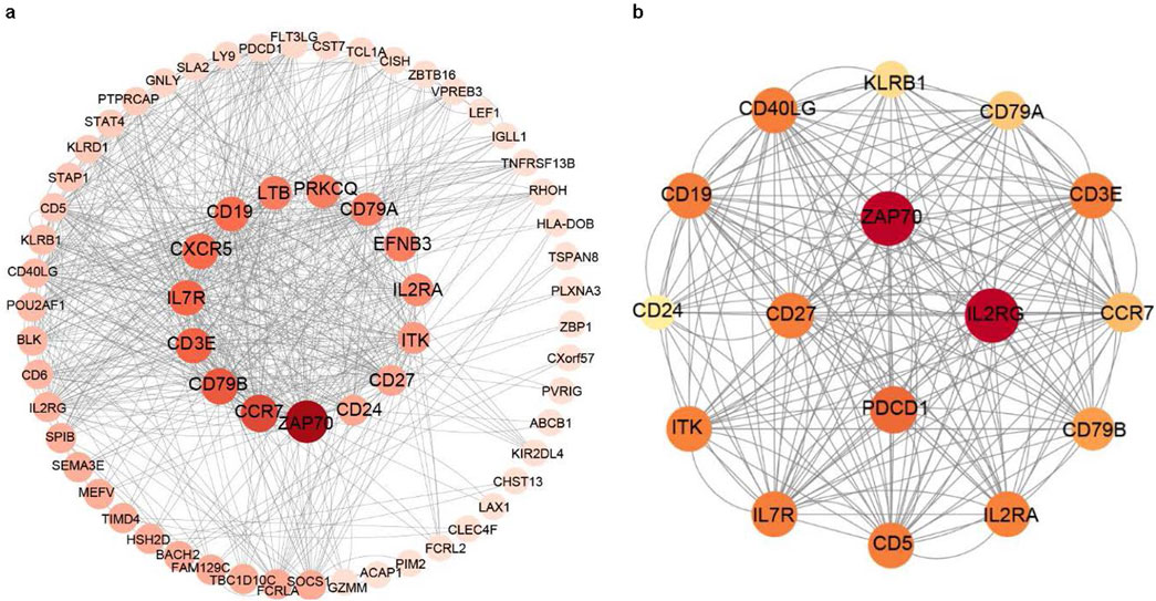 Network diagrams labeled