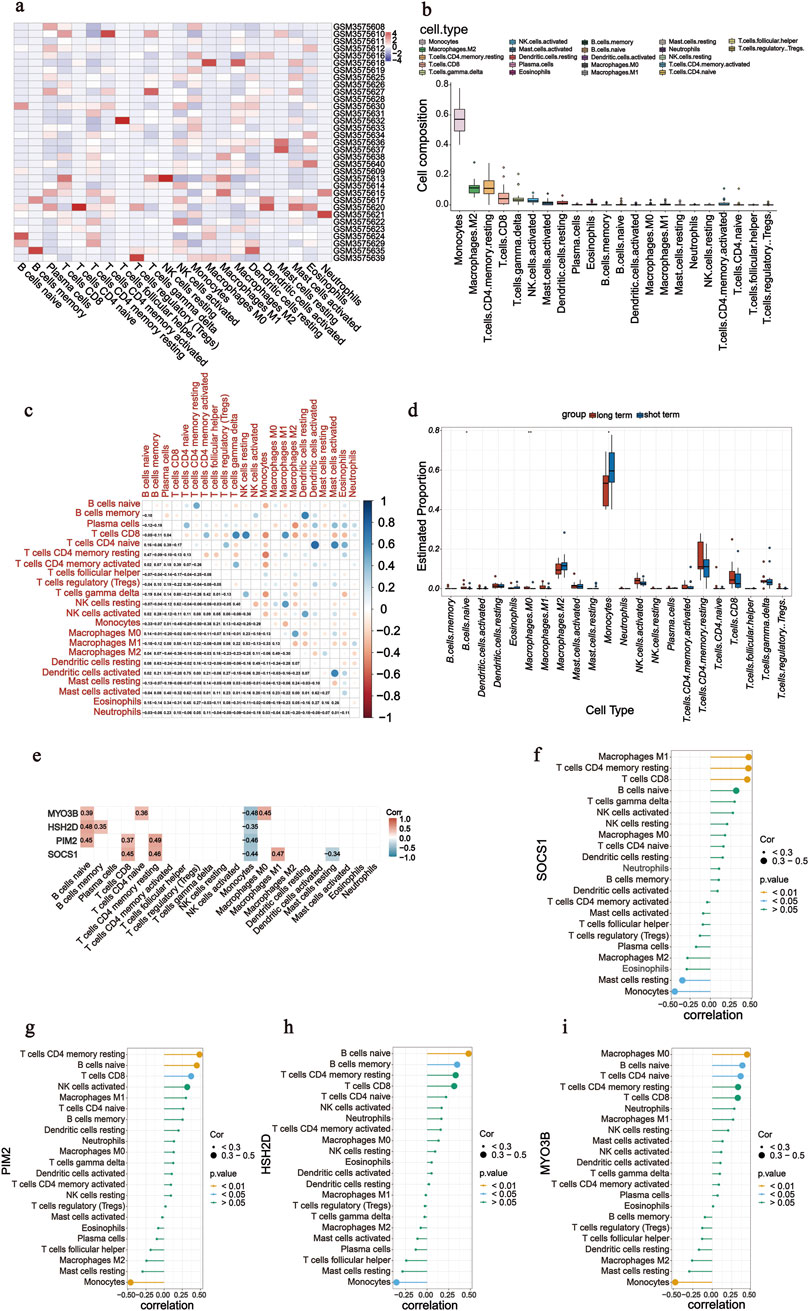The image consists of multiple panels showing various types of data visualizations related to cell composition and correlations. Panel (a) is a heatmap illustrating expression levels across different samples and cell types. Panel (b) shows a box plot comparing cell composition across cell types, with different colors representing various types. Panel (c) is a correlation matrix depicting relationships between different cell types. Panel (d) contains a box plot showing estimated proportions of cell types for long-term and short-term groups. Panels (e) to (i) display bar charts indicating correlation levels of specific genes with cell types, marked by correlation values and p-values.