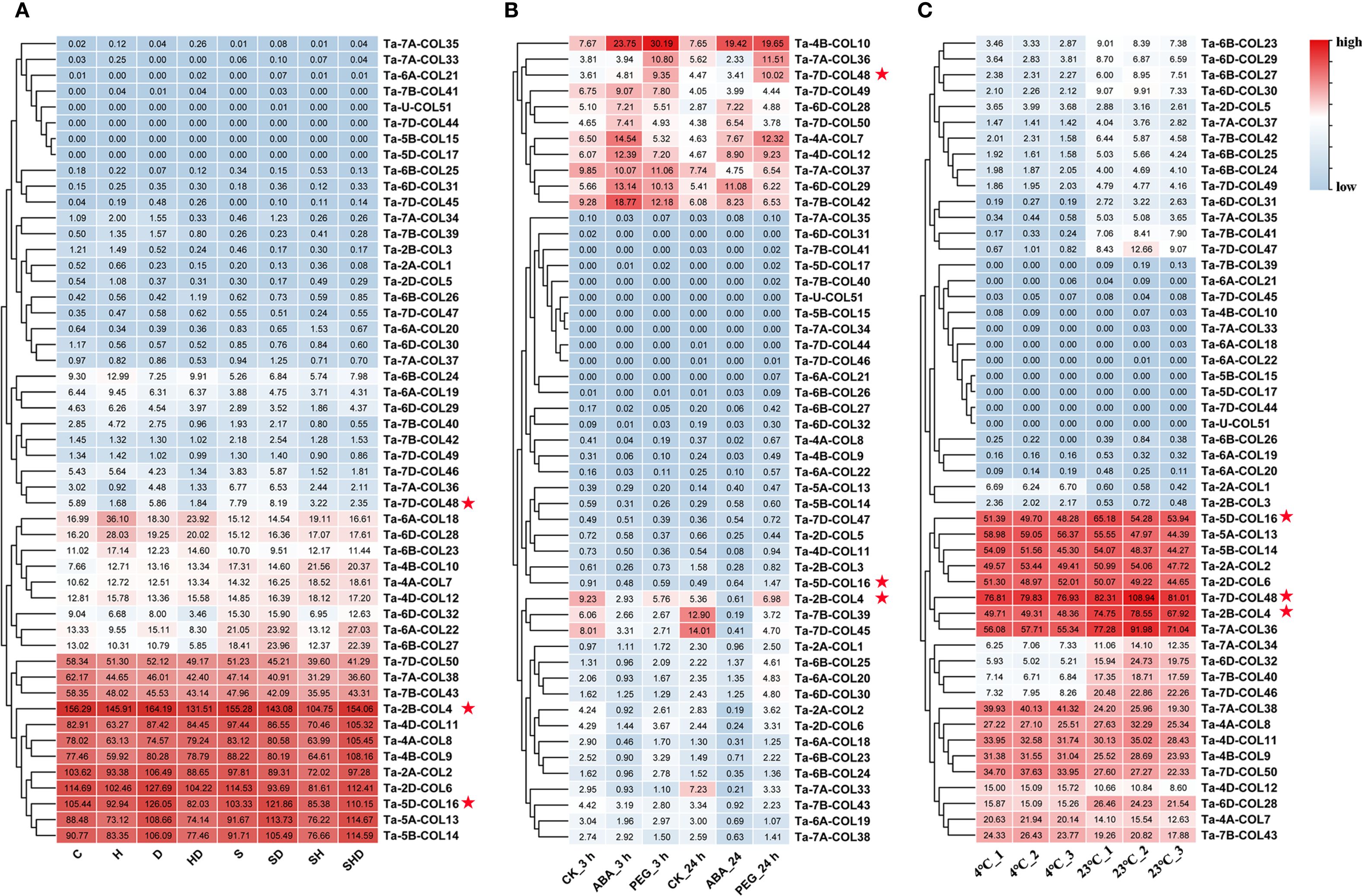 Heat maps A, B, and C show hierarchical clustering of gene expression data. Each map uses a color gradient from blue (low expression) to red (high expression). Specific gene identifiers are listed along the right side, and conditions or treatments are shown at the bottom. Red stars mark certain gene expressions, indicating notable changes or specific interest areas.