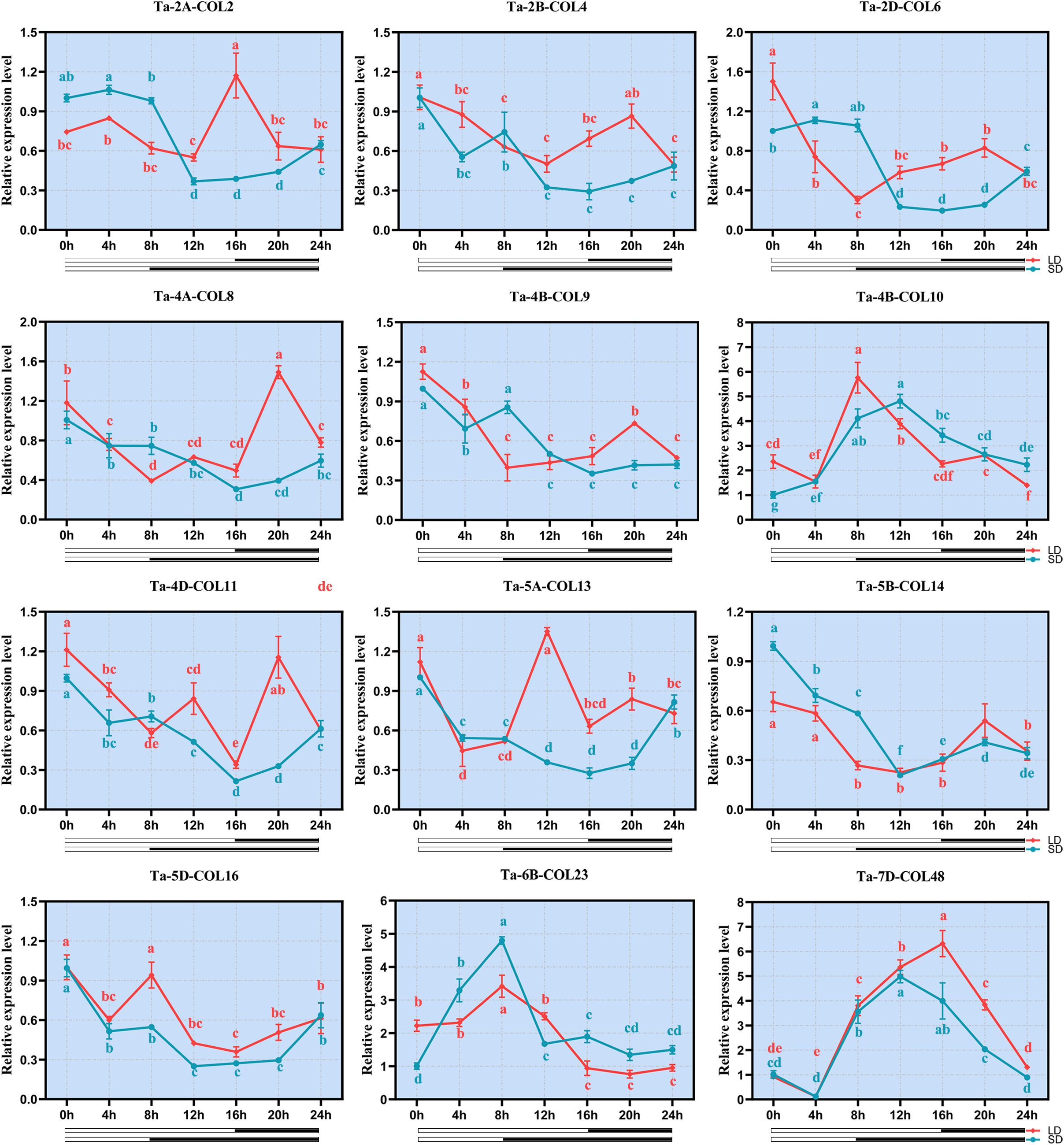 Twelve line graphs display the relative expression levels of different genes over time, from 0 to 24 hours. The graphs are labeled from Ta-2A-COL2 to Ta-7D-COL48. Two lines, red and blue, represent treatments Sb and Sd, respectively. Each graph includes labeled data points and error bars, illustrating fluctuations in gene expression. The x-axis indicates time intervals, while the y-axis shows expression level. The graphs collectively depict variations in gene response across different conditions.