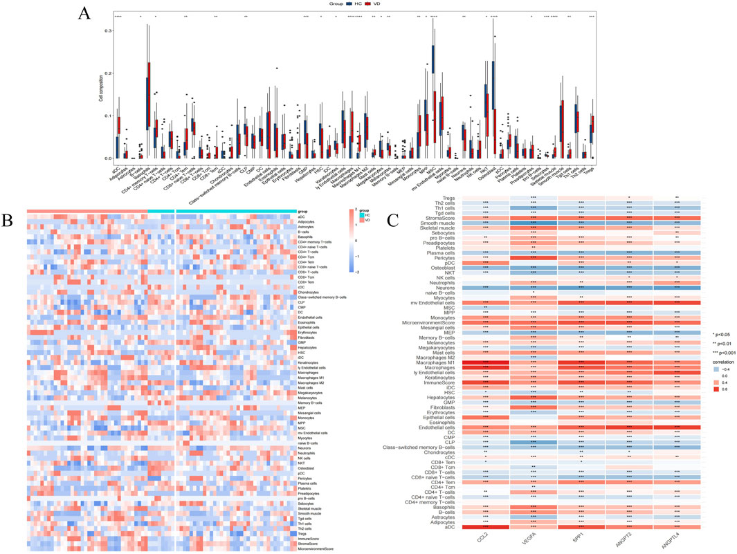 Panel A shows a bar chart comparing cell composition for two groups, HIC and VD, across various cell types. Panel B features a heatmap illustrating the expression levels of different cell types with a color gradient from blue to red. Panel C includes a heatmap displaying correlations among cell types, where intensity from blue to red indicates correlation strength. Significance levels are marked with stars.