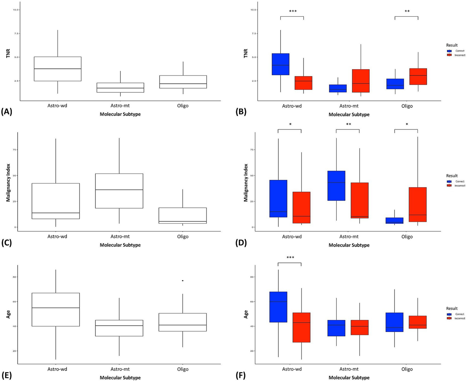 Six box plots compare different molecular subtypes: Astro-wd, Astro-mt, and Oligo. Plots (A), (C), and (E) are single box plots representing TNR, malignancy index, and age, respectively. Plots (B), (D), and (F) are grouped box plots, color-coded for correct and incorrect results, showing statistical significance indicated by asterisks. Each plot focuses on the distribution of values within each molecular subtype.