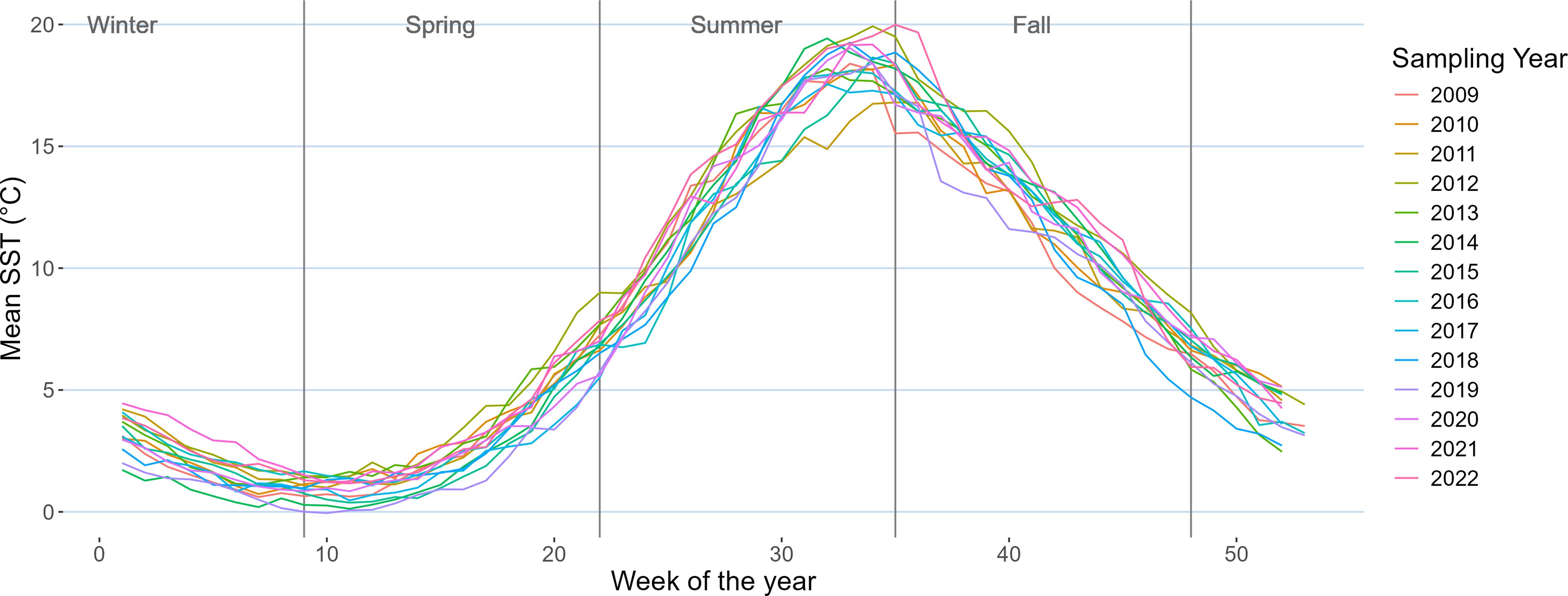 Line graph showing mean sea surface temperature (SST) in degrees Celsius over weeks of the year, from 2009 to 2022. Different colored lines represent each year. Temperatures rise sharply in summer and fall in winter, with variations among the years. Seasons are marked on the graph.