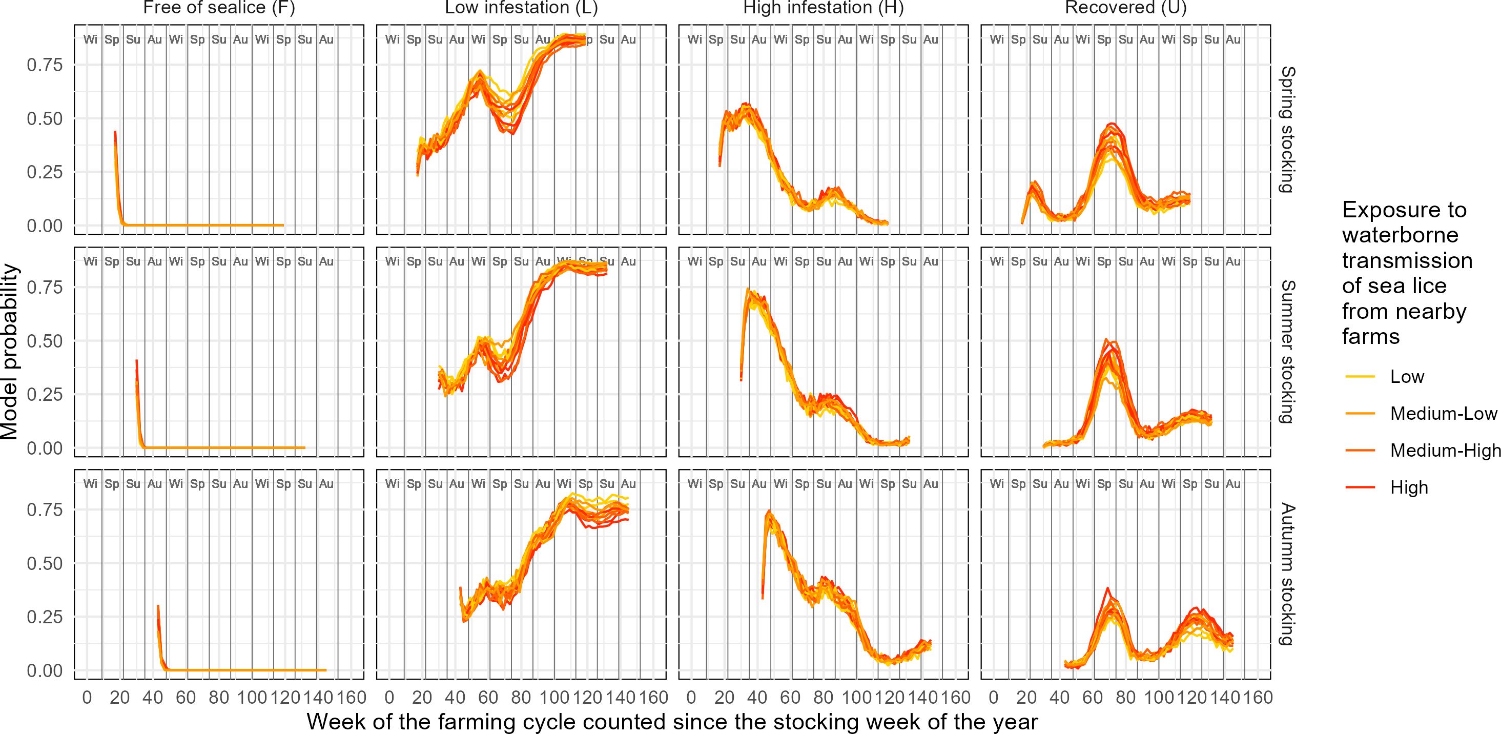 Grid of line graphs showing model probability of sea lice infestation in farm cycles over time. Columns represent different infestation states: Free, Low, High, and Recovered. Rows represent stocking seasons: Spring, Summer, Autumn. Line colors indicate exposure levels: Low (yellow), Medium-Low (orange), Medium-High (dark orange), High (red). X-axis shows weeks from stocking week; Y-axis shows model probability.