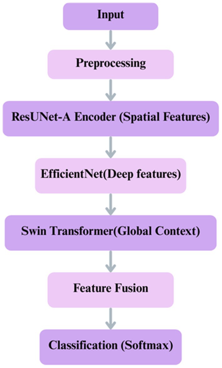 Flowchart of a machine learning pipeline. Steps: Input, Preprocessing, ResUNet-A Encoder for spatial features, EfficientNet for deep features, Swin Transformer for global context, Feature Fusion, and Classification using Softmax.