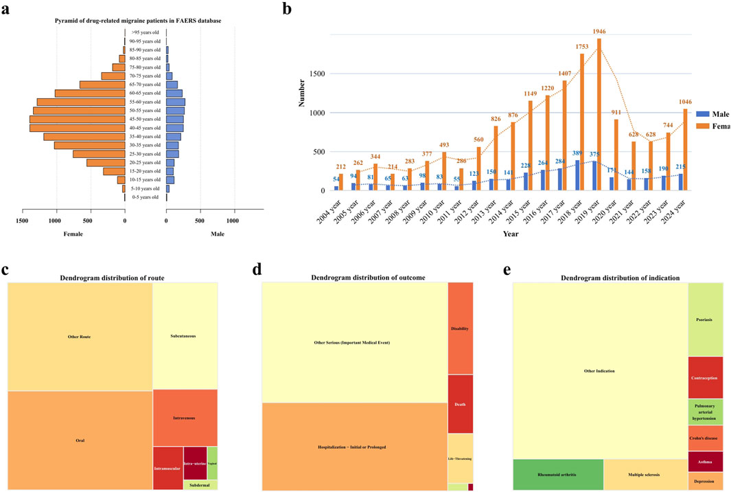 a) A pyramid chart showing the age distribution of drug-related migraine patients from the FAERS database, segmented by gender. b) A bar graph displaying the annual number of migraine cases from 2004 to 2024, with a breakdown by gender. c) A dendrogram illustrating the distribution of routes, highlighting oral, subcutaneous, and others. d) A dendrogram showing the distribution of outcomes, including hospitalization and death. e) A dendrogram detailing indication distribution, featuring conditions like psoriasis and rheumatoid arthritis.