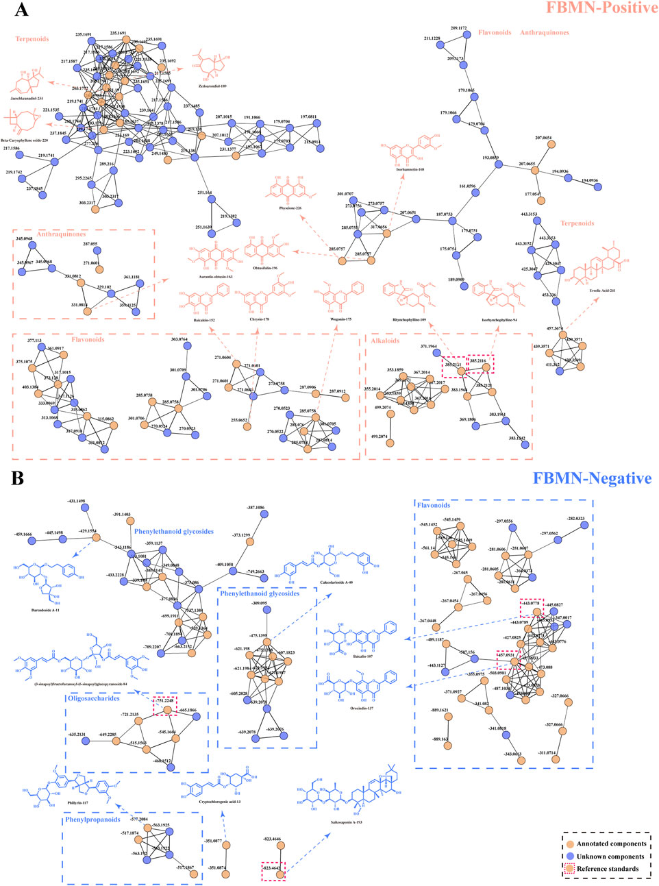 Molecular network diagrams labeled FBMN-Positive and FBMN-Negative show interconnected nodes categorized by compound classes such as terpenoids, alkaloids, flavonoids, and phenylethanoid glycosides. Nodes are color-coded: blue for unknown components, orange for reference standards, and outlined in regions with annotated components. Molecular structures are depicted around the networks, with dotted lines indicating connections to specific nodes. Separate networks highlight different compound classifications, illustrating complex biochemical relationships within each category.