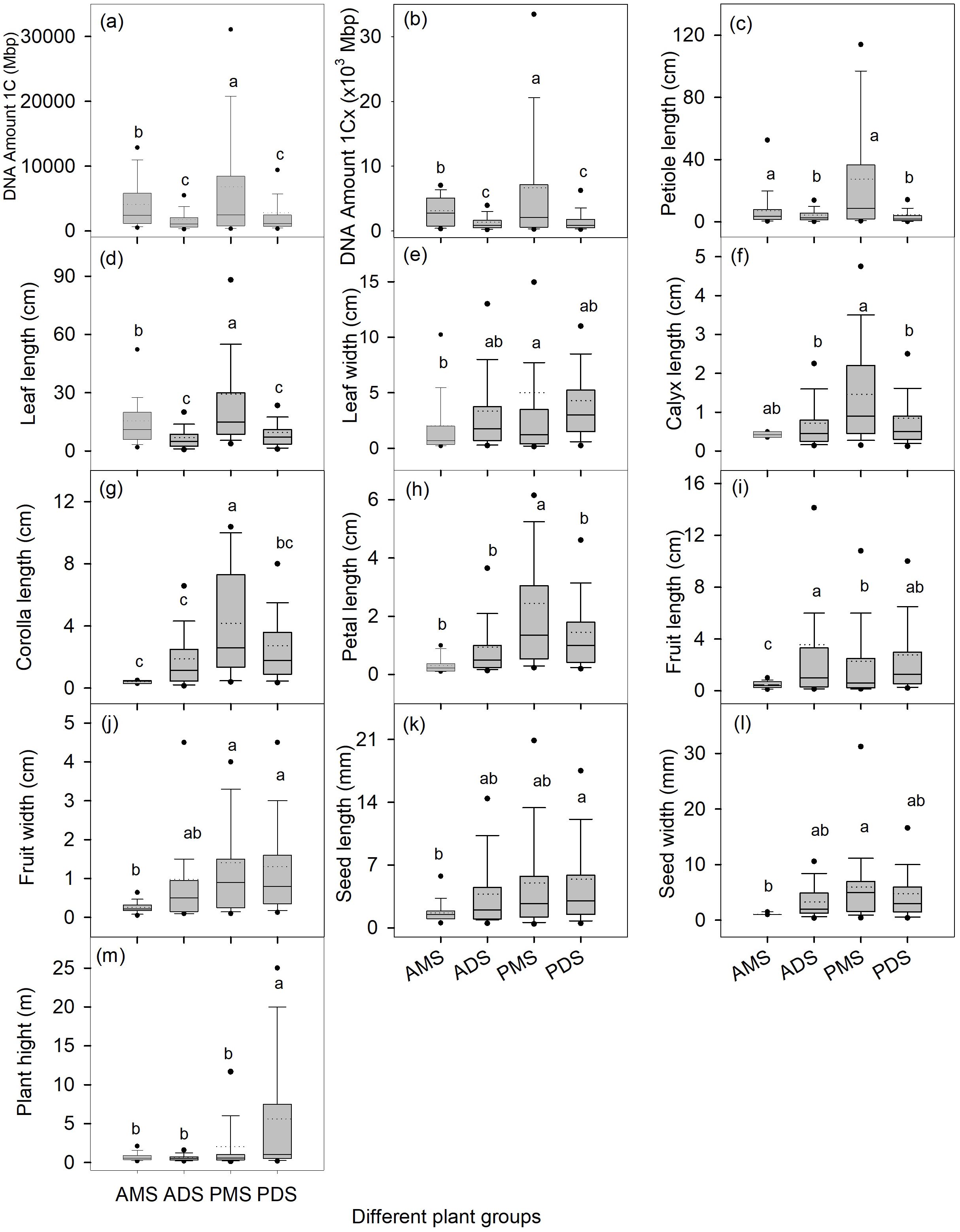 Box plots showing comparisons of various traits across four plant groups: AMS, ADS, PMS, and PDS. The traits include DNA amount (1C and 1Cx), leaf length and width, petiole length, calyx length, corolla length, petal length, fruit width and length, seed length and width, and plant height. Significant differences between groups are marked with letters above each box.