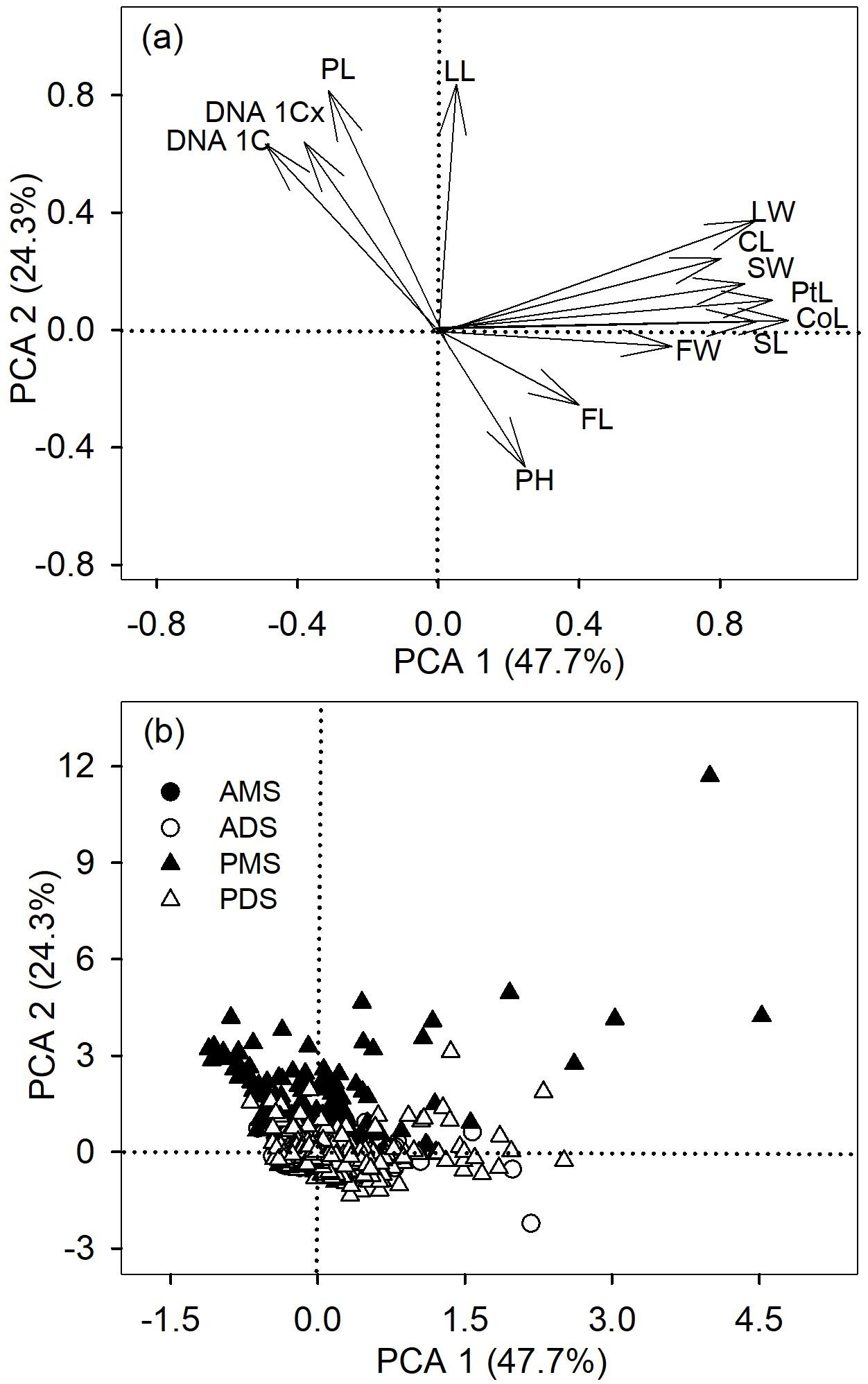 Two-panel image showing principal component analysis (PCA) plots. Panel (a) displays vectors representing traits like DNA content, leaf length, and others, along PCA axes. Panel (b) shows data points for four groups: AMS, ADS, PMS, and PDS, indicated by different symbols, distributed along two principal components, where PCA 1 explains 47.7% and PCA 2 explains 24.3% of variance.