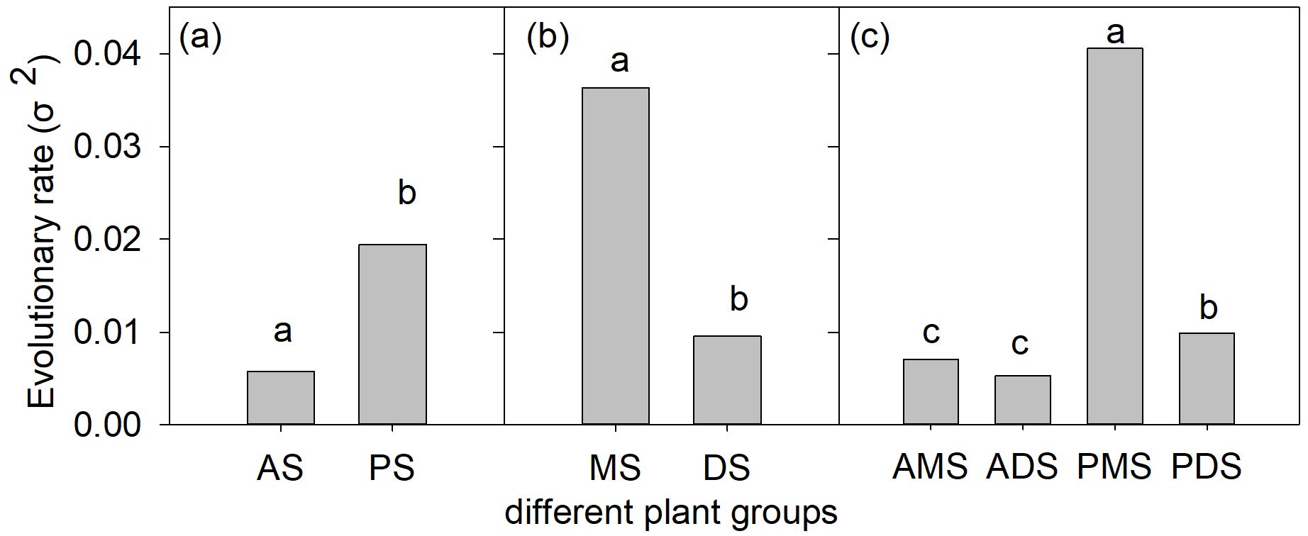 Bar charts comparing the evolutionary rates (sigma squared) of different plant groups. Chart (a) shows AS and PS, with PS having a higher rate. Chart (b) shows MS and DS, with MS having a significantly higher rate. Chart (c) shows AMS, ADS, PMS, and PDS, with PMS having the highest rate and ADS the lowest.