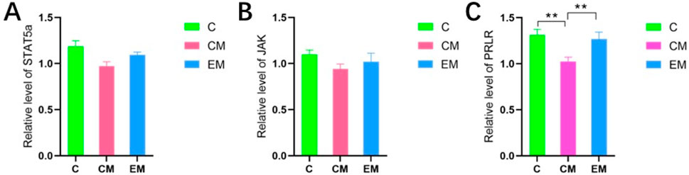 Bar charts labeled A, B, and C show relative levels of STAT5a, JAK, and PRLR, respectively, with conditions C, CM, and EM. Green bars represent C, pink for CM, and blue for EM. Significant differences are noted between conditions in chart C.