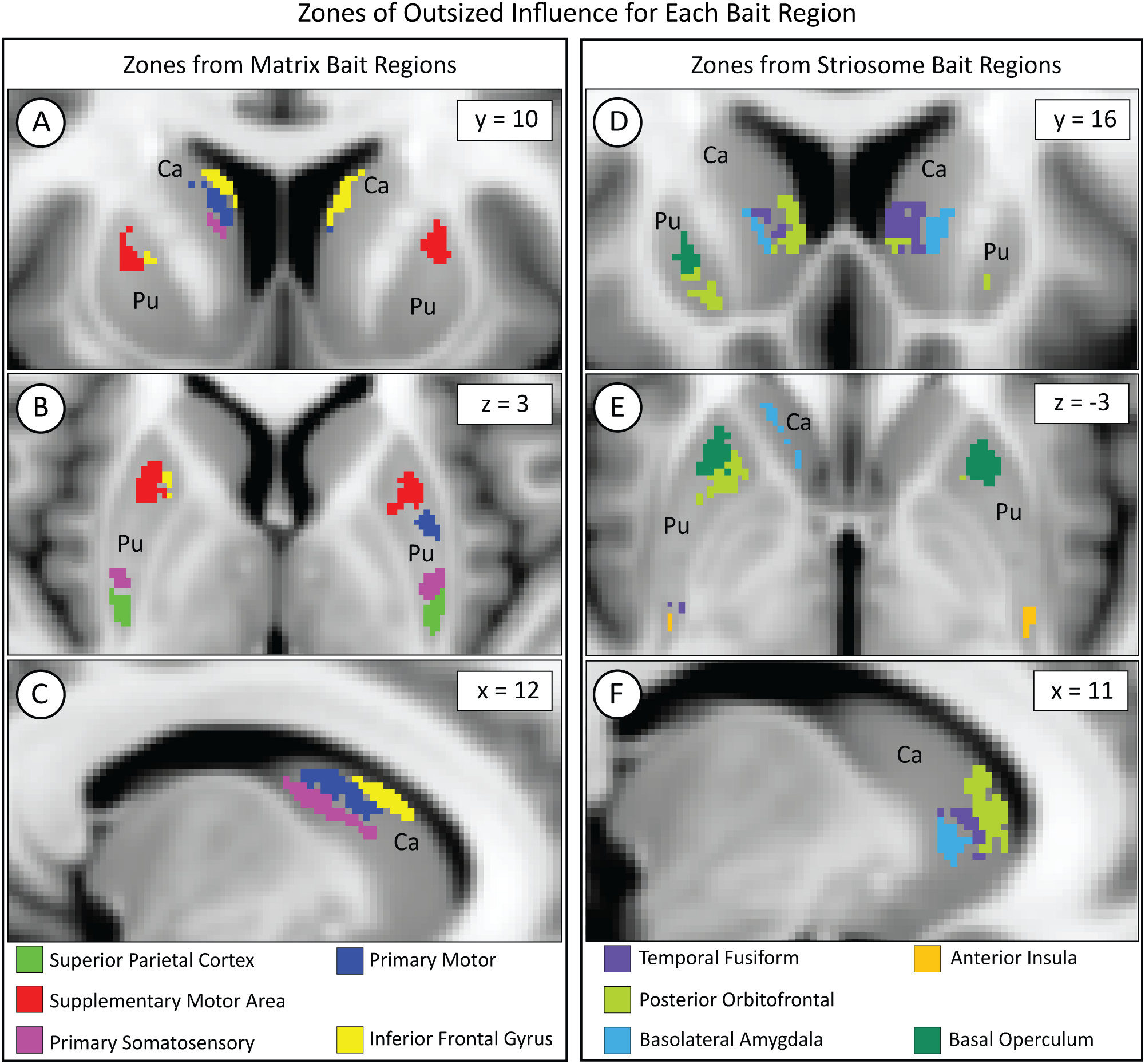 Brain imaging scan showing zones of influence for different bait regions, divided into two categories: Matrix and Striosome. Panels A-C focus on Matrix regions at coordinate points y=10, z=3, x=12, highlighting areas like the caudate (Ca) and putamen (Pu) with color-coded influences such as superior parietal cortex and primary motor. Panels D-F show Striosome regions at y=16, z=-3, x=11, similarly illustrating caudate and putamen influences with distinct color codes representing regions like temporal fusiform and posterior orbitofrontal.