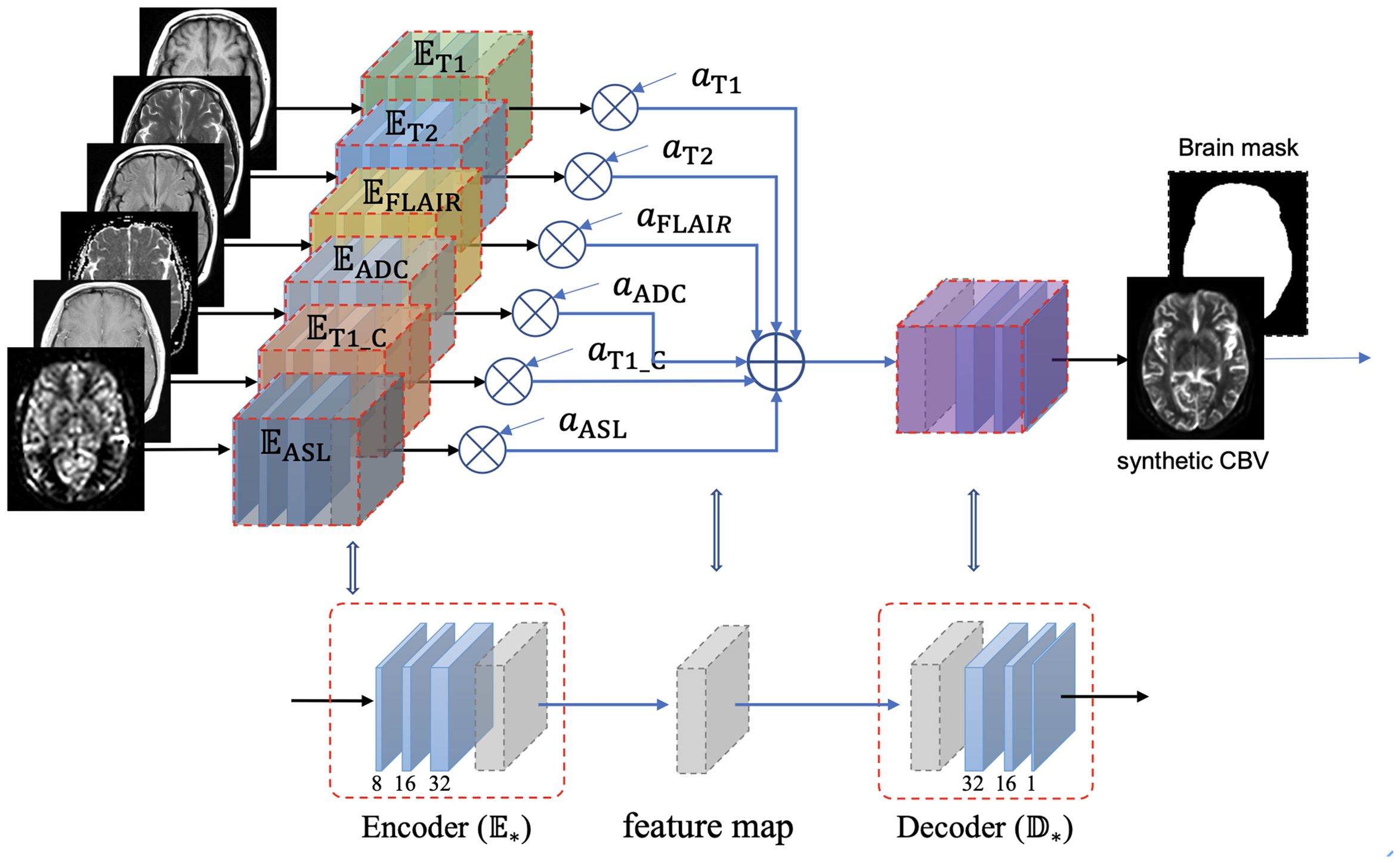 Diagram of a neural network model for generating synthetic CBV images from various MRI sequences. Input images (ET1, ET2, EFLAIR, EADC, ET1_C, EASL) are encoded into feature maps. These maps are weighted, summed, and processed through a decoder. The output is a brain mask and a synthetic CBV image.