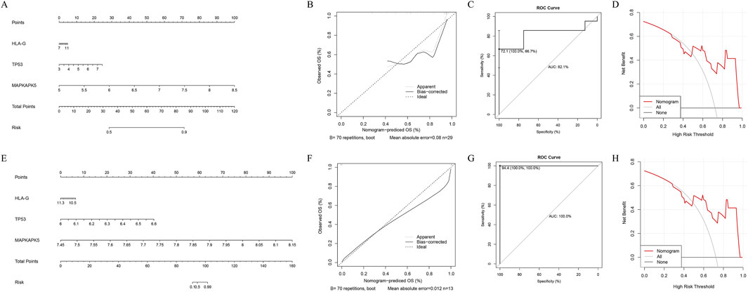 Nomograms and performance graphs related to the analysis of HLA-G, TP53, and MAPKAPK5. Panels A and E show nomograms to calculate risk based on specific predictor values. Panels B and F display calibration curves for observed versus predicted overall survival percentages. Panels C and G present ROC curves showing sensitivity and specificity, with AUC values of 82.1 percent and 100.0 percent, respectively. Panels D and H depict decision curve analyses indicating net benefit across different high-risk thresholds.