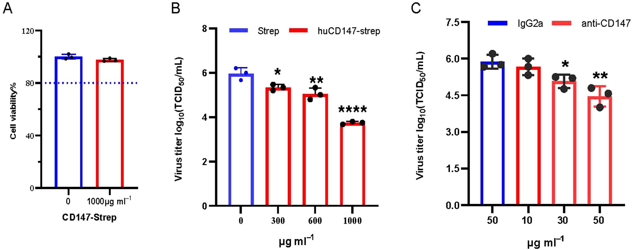 Bar graphs showing: A) Cell viability percentages with blue and red bars for 0 and 1000 µg/ml of CD147-Strep, both around 80%. B) Virus titer log values in TCID₅₀/mL with bars for Strep and huCD147-strep at 0, 300, 600, and 1000 µg/ml. Red bars show a decrease at higher concentrations. C) Virus titer log values for IgG2a and anti-CD147 at 10, 30, and 50 µg/ml. Red bars indicate a decrease at higher concentrations. Stars denote significance levels.
