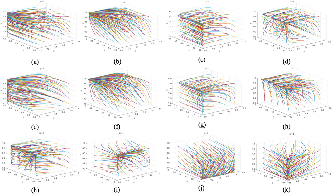 Twelve 3D vector field plots arranged in a grid, labeled (a) through (k). Each plot shows colorful lines indicating direction and magnitude in a 3D space defined by axes x, y, and m. Different plots show variations with fixed values: x equals zero or one, y equals zero or one, and m equals zero or one, demonstrating dynamic field behavior along these axes.