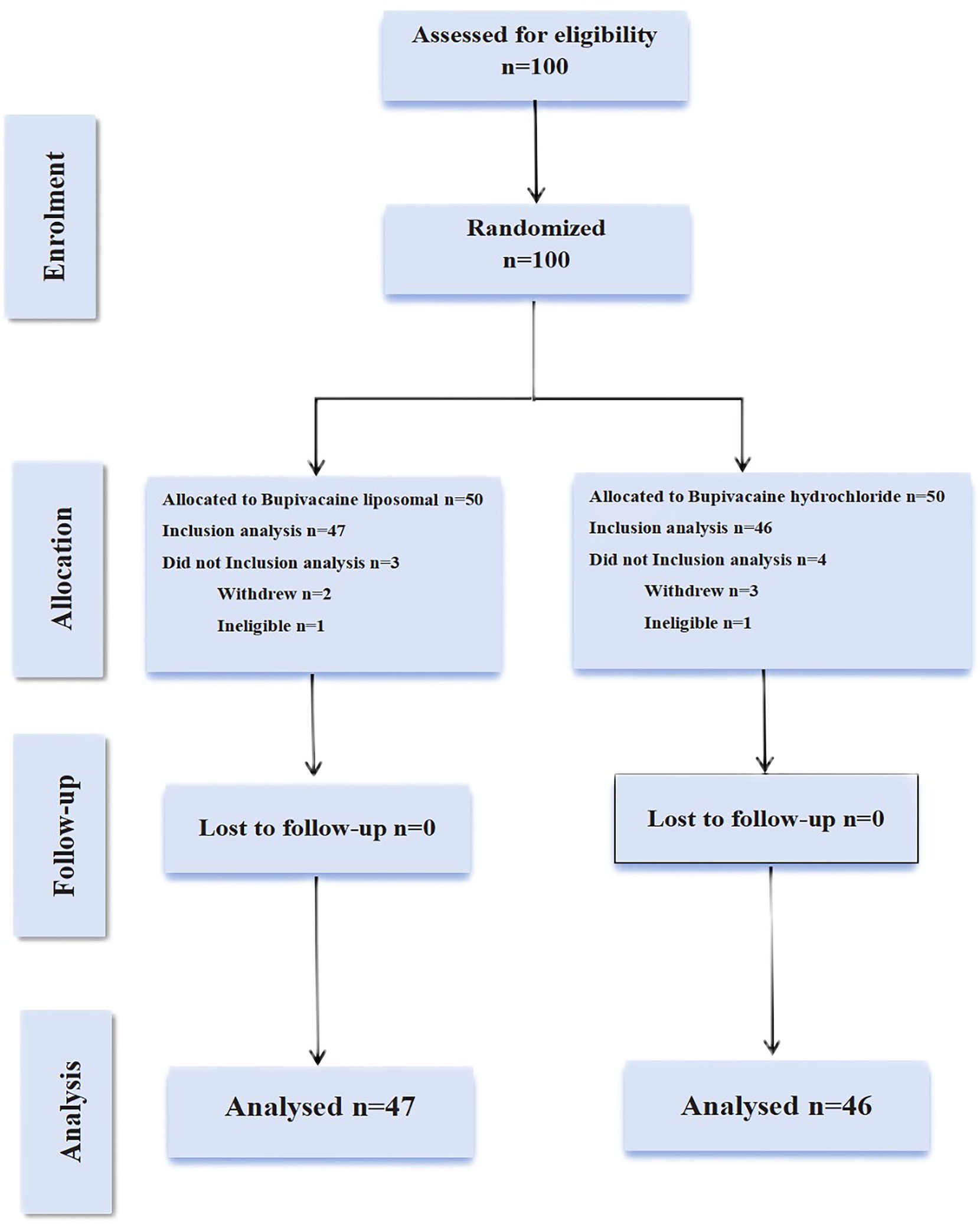 Flowchart of a clinical trial process with 100 participants assessed for eligibility. They were randomized into two groups: 50 allocated to Bupivacaine liposomal and 50 to Bupivacaine hydrochloride. In the first group, 47 were included in the analysis, with 2 withdrawals and 1 ineligible. In the second group, 46 were analyzed, with 3 withdrawals and 1 ineligible. No participants were lost to follow-up in either group.