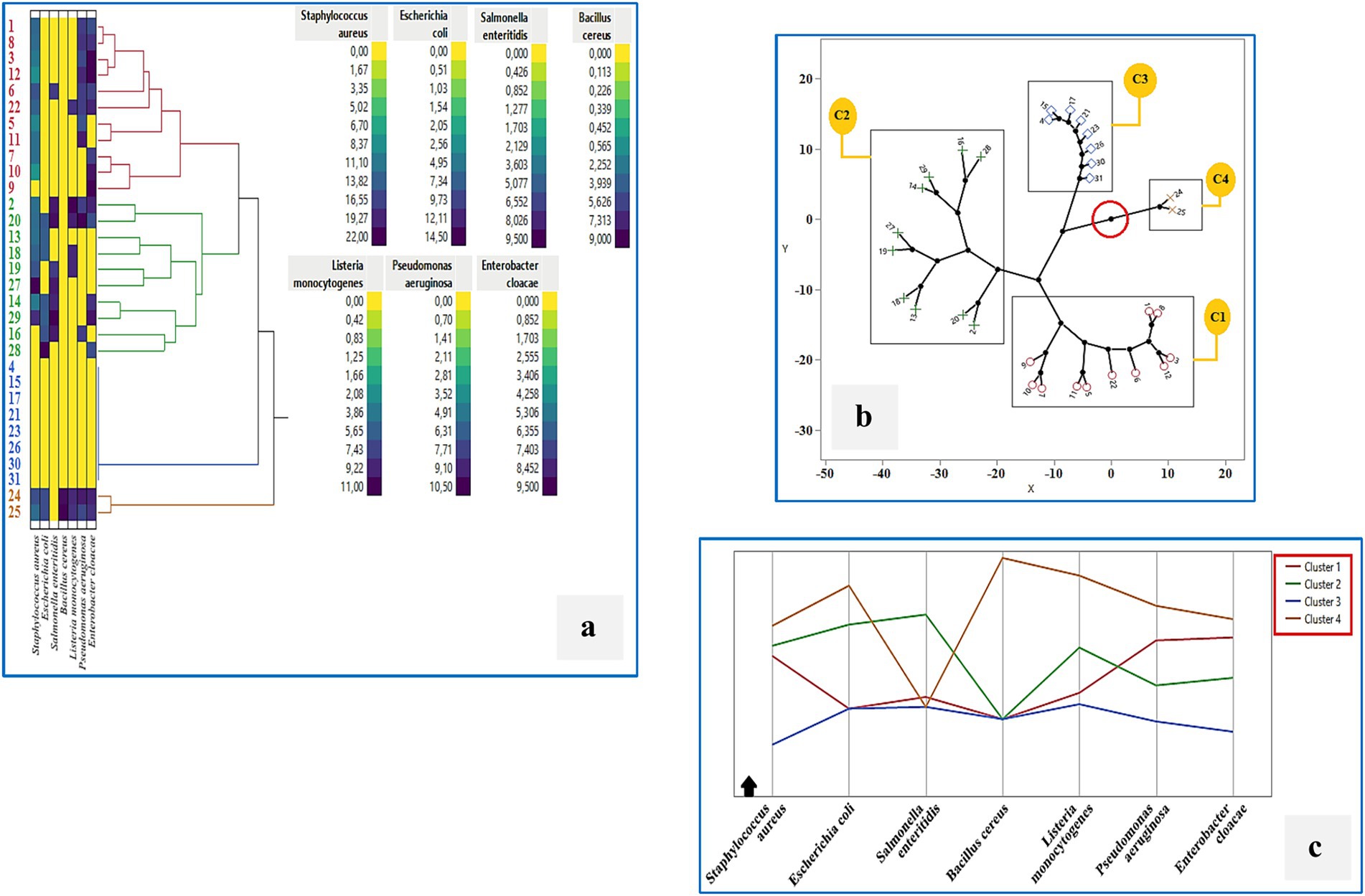 Three panels display different data visualizations. Panel (a) shows a heat map with a dendrogram clustering bacteria like Staphylococcus aureus and Escherichia coli. Panel (b) is a phylogenetic tree with labeled clusters C1 to C4 on an X-Y axis. Panel (c) is a line graph showing bacterial data across clusters.