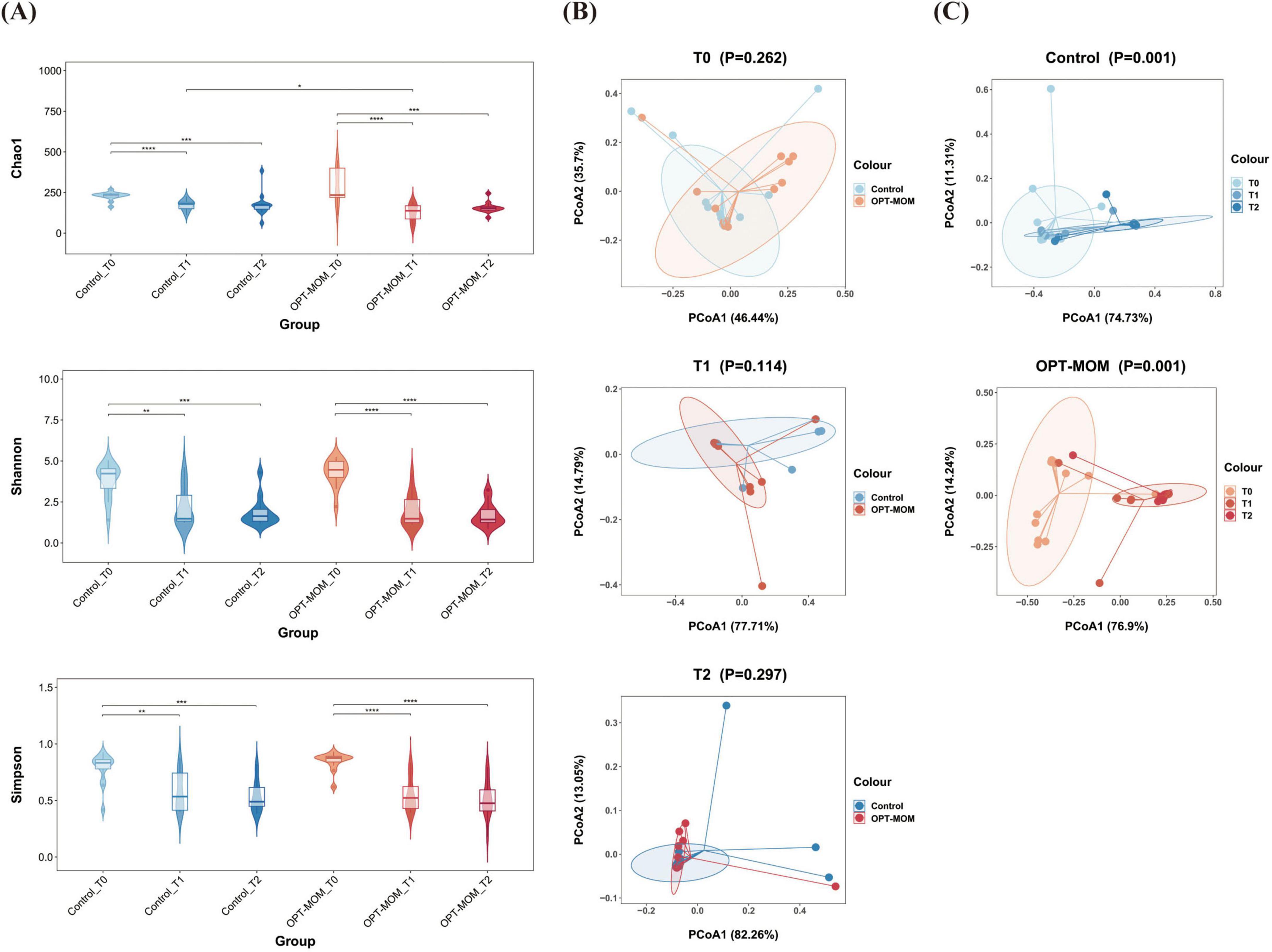 Panel A shows violin plots of Chao1, Shannon, and Simpson diversity indices across different groups and time points, with statistical significance denoted by asterisks. Panel B presents PCoA plots at T0, T1, and T2, illustrating the distribution of Control and OPT-MOM groups with percentages for PCoA1 and PCoA2 axes. Panel C features PCoA plots for Control and OPT-MOM groups, highlighting significant clustering with ellipses representing time points T0, T1, and T2. Color coding differentiates between the groups and time points.