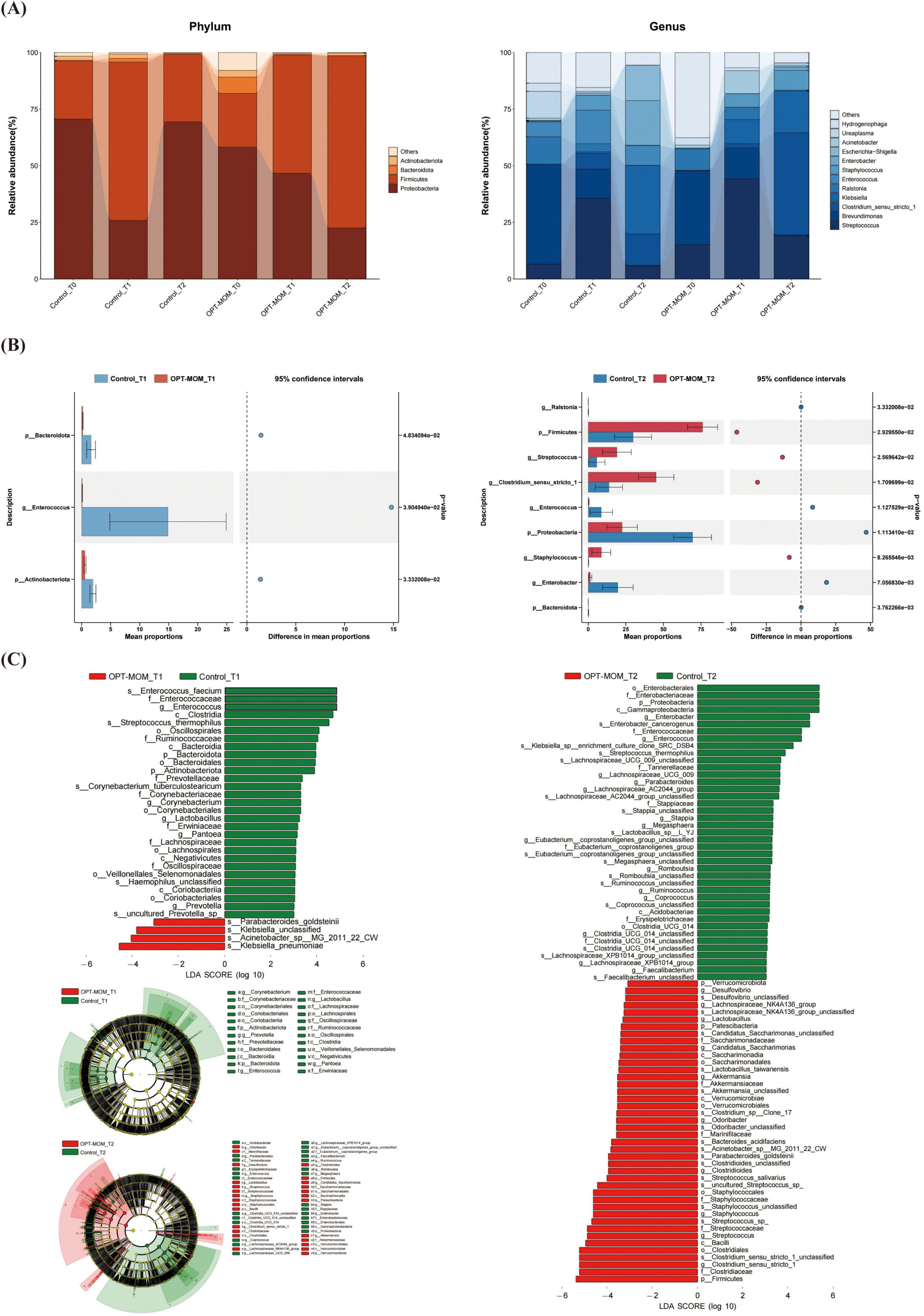 Panel A shows two bar charts depicting relative abundance at the phylum and genus levels, with varying colors representing different taxa. Panel B includes two charts with meanproportion differences and confidenceintervals for differentially dominant speciesbetween control and treatment groups. Panel C displays two LDA score bar charts, highlighting taxa enrichment for different groups, accompanied by circular cladograms showcasing taxonomic distribution.