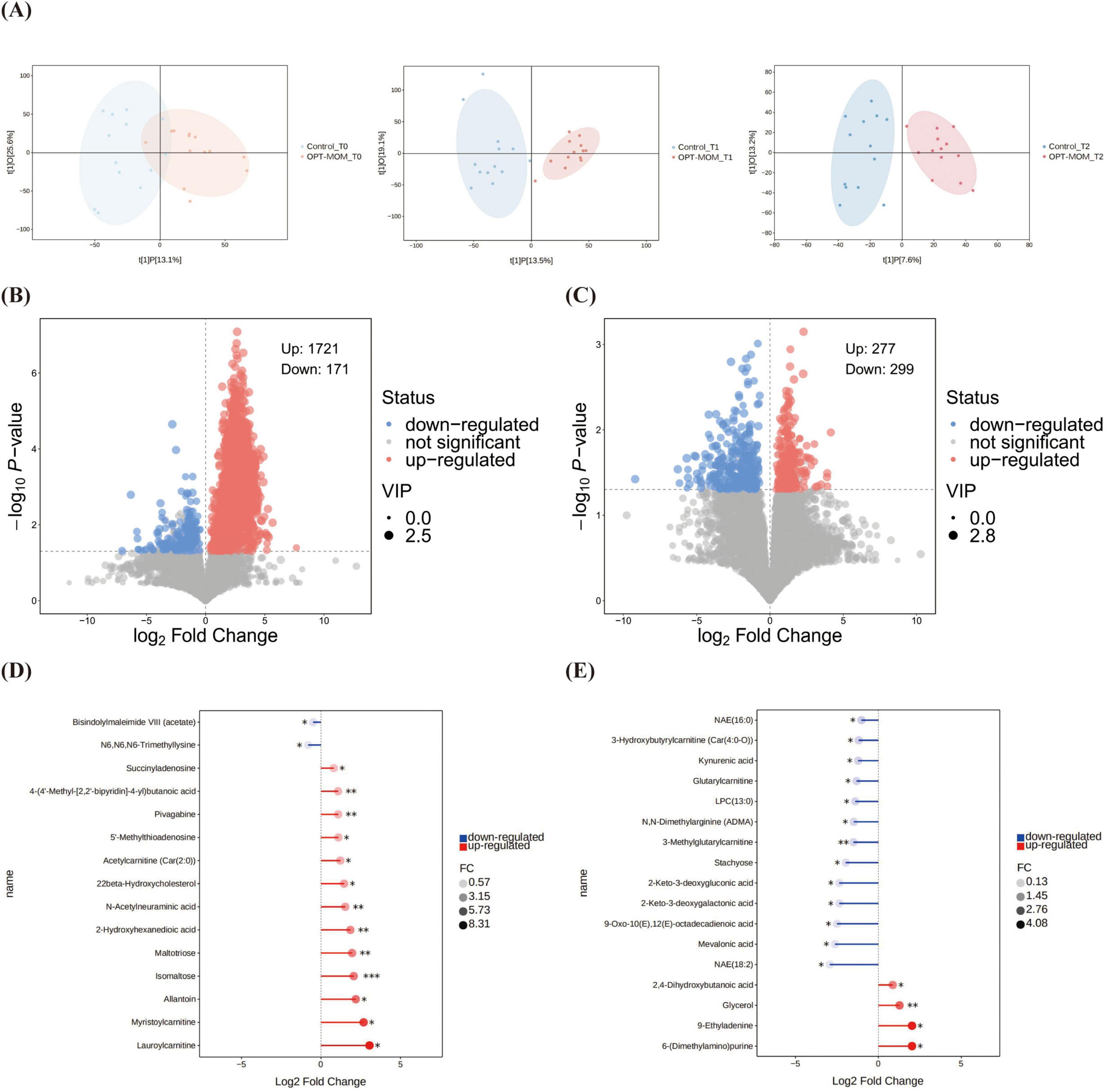 (A) Three scatter plots show OPLS-DA distribution with control and treatment groups as colored ellipses. (B) and (C) Volcano plots depict differential expression of entities, with up-regulated in red, down-regulated in blue, and non-significant in gray, alongside significance and VIP scores. (D) and (E) Stick plots illustrate specific metabolites’log2 fold changes, highlighting up-regulated and down-regulated compounds, indicated in red and blue, respectively, with fold change values and significance indicated by asterisks.
