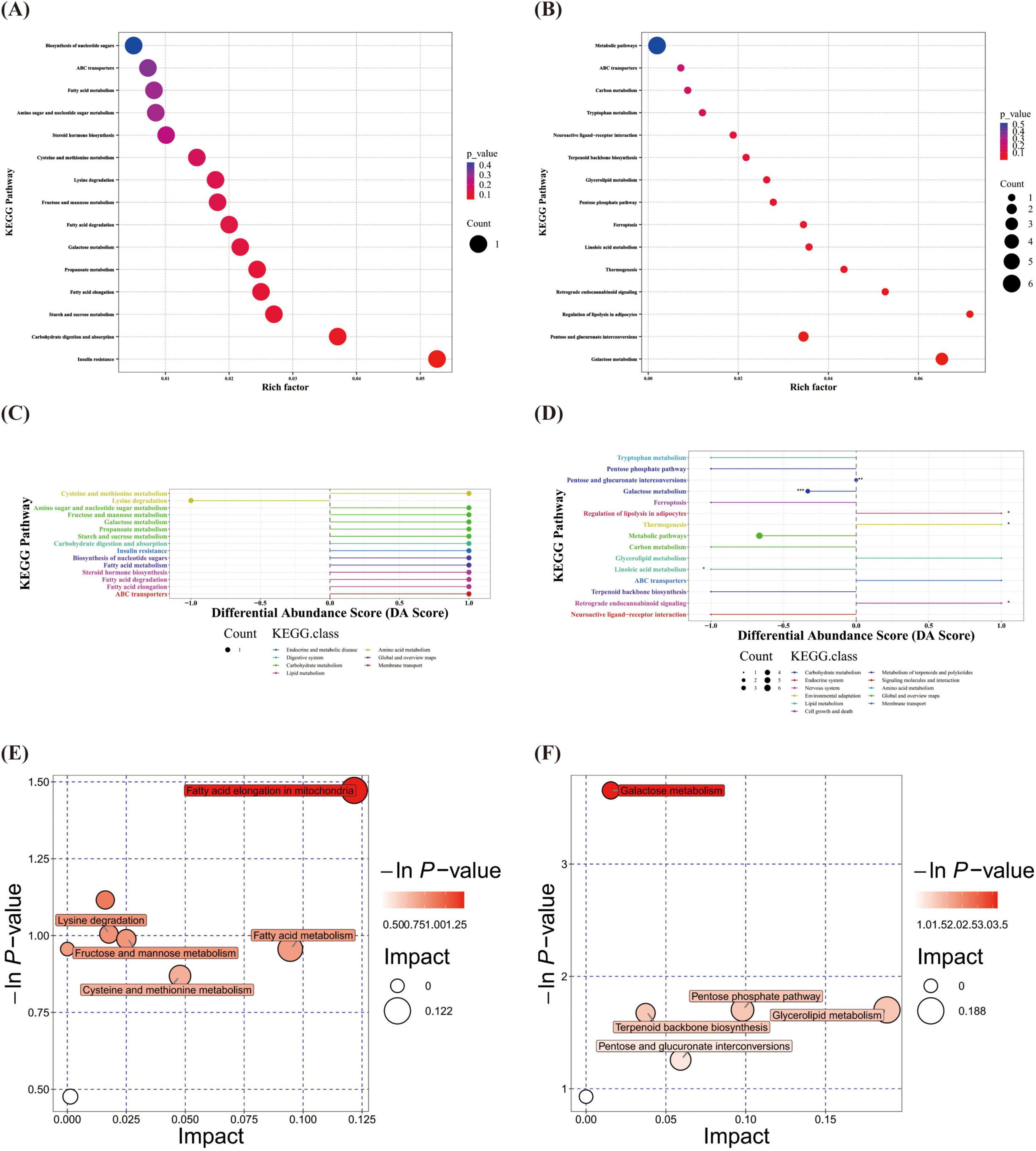 (A) Bubble plot showing KEGG pathways at T1 on the y-axis and the Rich factor on the x-axis, with bubble size indicating count and color representing p-value. (B) Similar bubble plot at T2. (C) KEGG differential abundance score plot at T1, colored by KEGG class. (D) KEGG differential abundance score plot at T2. (E) Bubble plot using impact versus negative logarithm of p-value, showing various pathways at T1. (F) Similar bubble plot at T2. Each panel visualizes metabolic pathway data using different metrics.