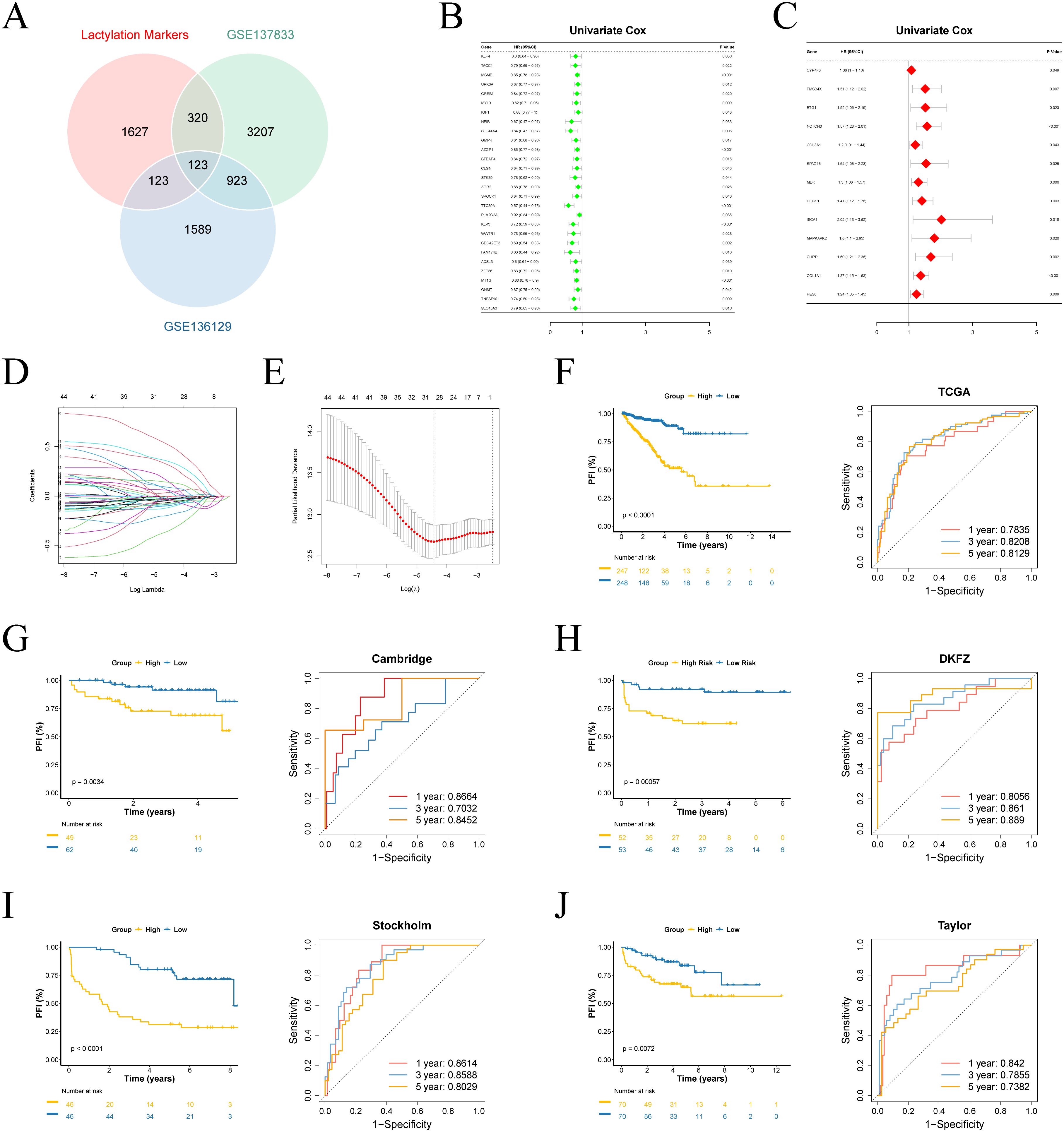 Venn diagram (A) shows overlaps of lactylation markers and datasets GSE137833 and GSE136129. Univariate Cox regression analyses are displayed with green dots (B) and red diamonds (C). Line plots (D) and a plot showing cross-validation error (E). Kaplan-Meier survival curves and ROC curves for TCGA (F), Cambridge (G), DKFZ (H), Stockholm (I), and Taylor (J) datasets, comparing high and low-risk groups.