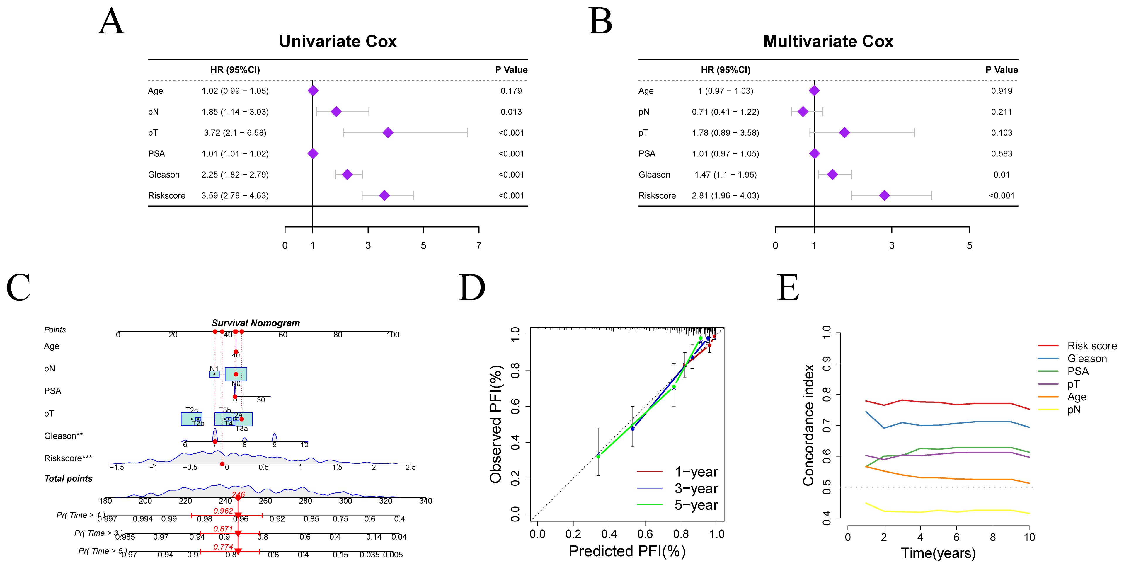 Panel A shows a univariate Cox model with hazard ratios for age, pN, pT, PSA, Gleason, and risk score. Panel B displays a multivariate Cox model with similar variables. Panel C features a survival nomogram for predicting prostate cancer prognosis based on age, pN, PSA, pT, Gleason, and risk score. Panel D presents a calibration plot comparing predicted and observed PFI over one, three, and five years. Panel E illustrates a concordance index over time for various prognostic factors like risk score, Gleason, PSA, pT, age, and pN.