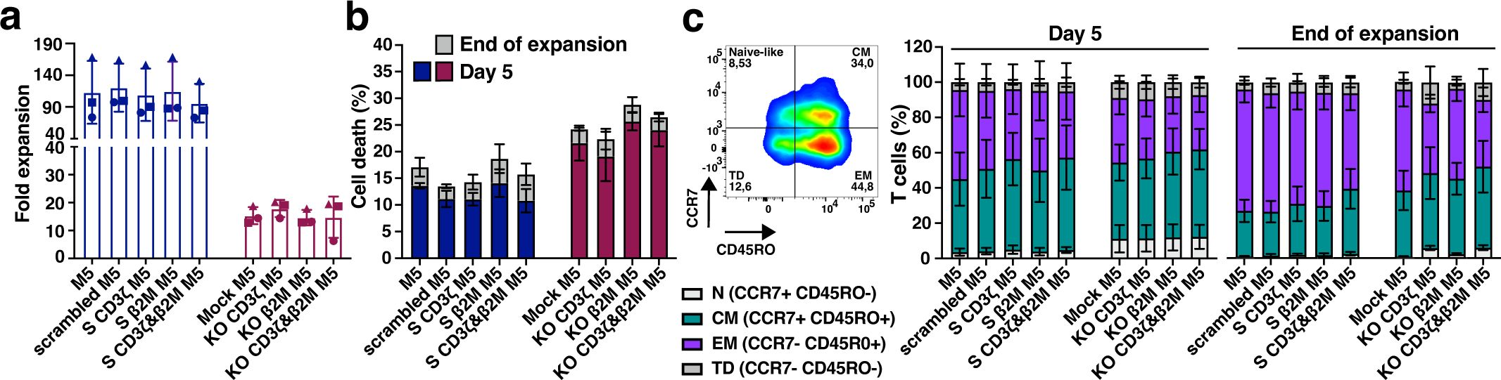 Three-panel data visualization showing T cell characteristics. Panel a depicts fold expansion of T cells with various conditions, color-coded for Day 5 and End of Expansion. Panel b shows cell death percentages under similar conditions. Panel c includes a flow cytometry plot of CCR7 versus CD45RO and a bar graph of T cell subtypes (N, CM, EM, TD) at Day 5 and End of Expansion, with corresponding percentages.