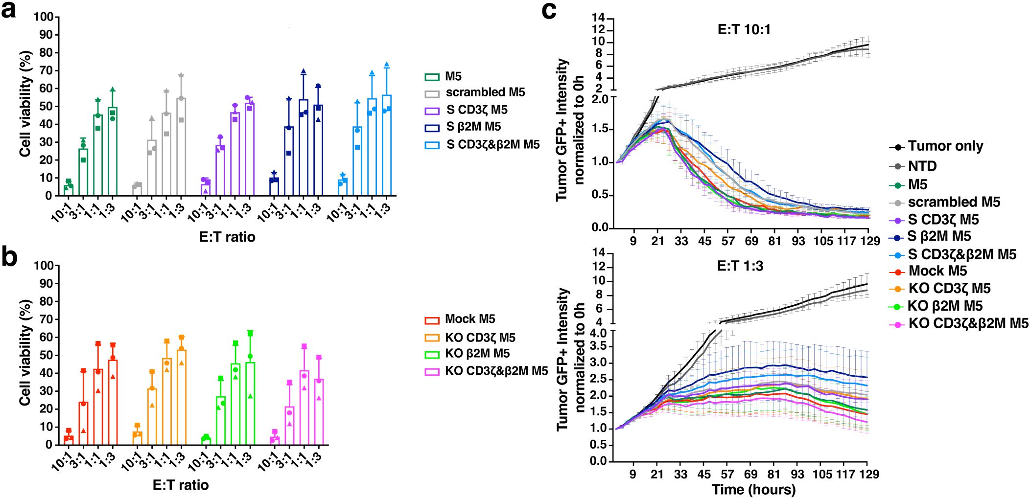 Two panels of graphs depict cell viability and tumor GFP intensity at various effector-to-target (E:T) ratios. Panel (a) and (b) show cell viability percentages for different treatments across E:T ratios of 10:0.3 to 1:3. Panel (c) illustrates tumor GFP intensity over time for E:T ratios of 10:1 and 1:3. Each graph is color-coded with a legend for multiple conditions, including M5, scrambled M5, and S CD3ζ M5, among others. The data visualize changes in cell viability and tumor intensity under different experimental setups.