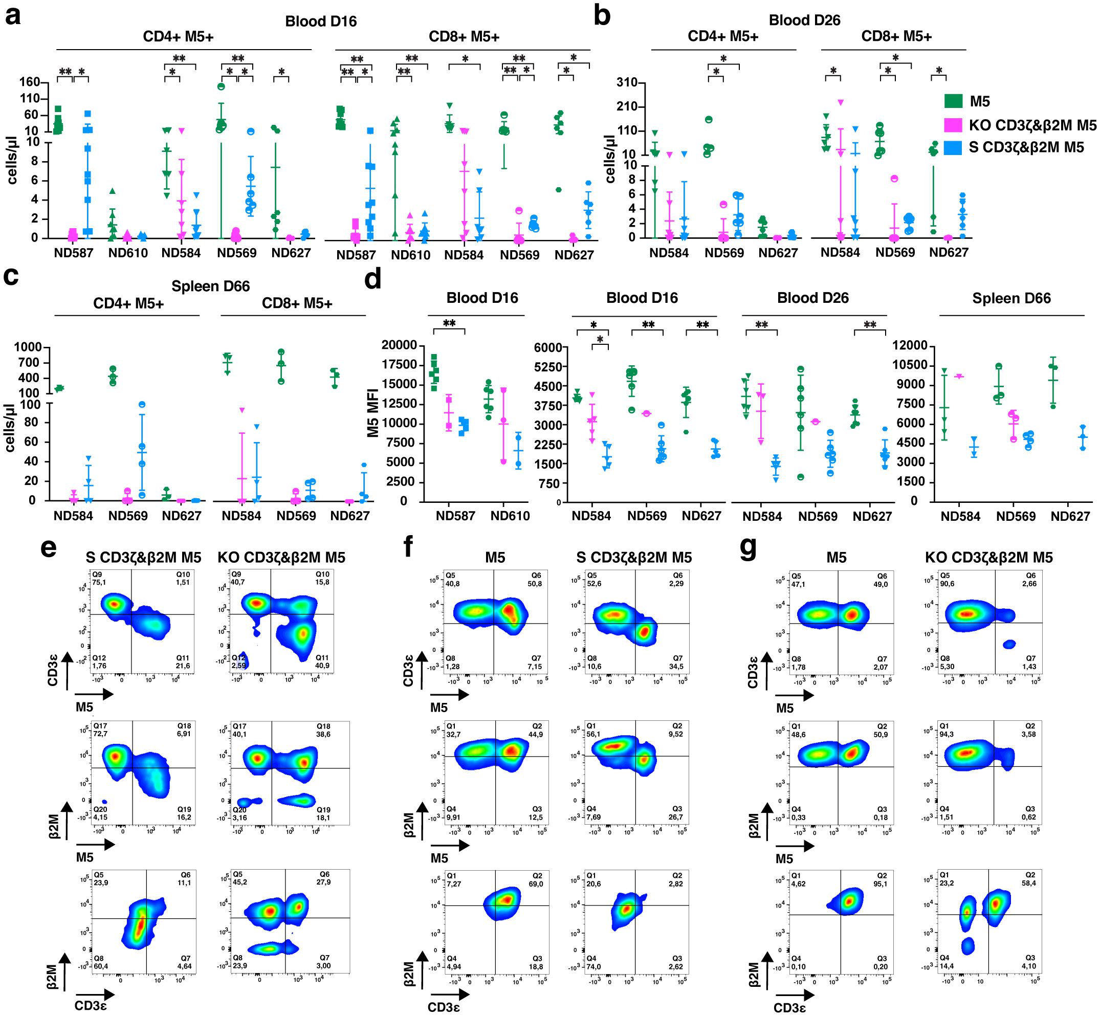 Seven panels showing immune cell data: a) Blood D16: CD4 and CD8 M5+ cell counts in various samples. b) Blood D26: CD4 and CD8 M5+ cell counts comparison. c) Spleen D66: CD4 and CD8 M5+ cell counts. d) M5 MFI across different samples and time points. e-g) Flow cytometry plots showing CD3, β2M, and CD3ε expression in various conditions. Statistical significance is indicated with asterisks.