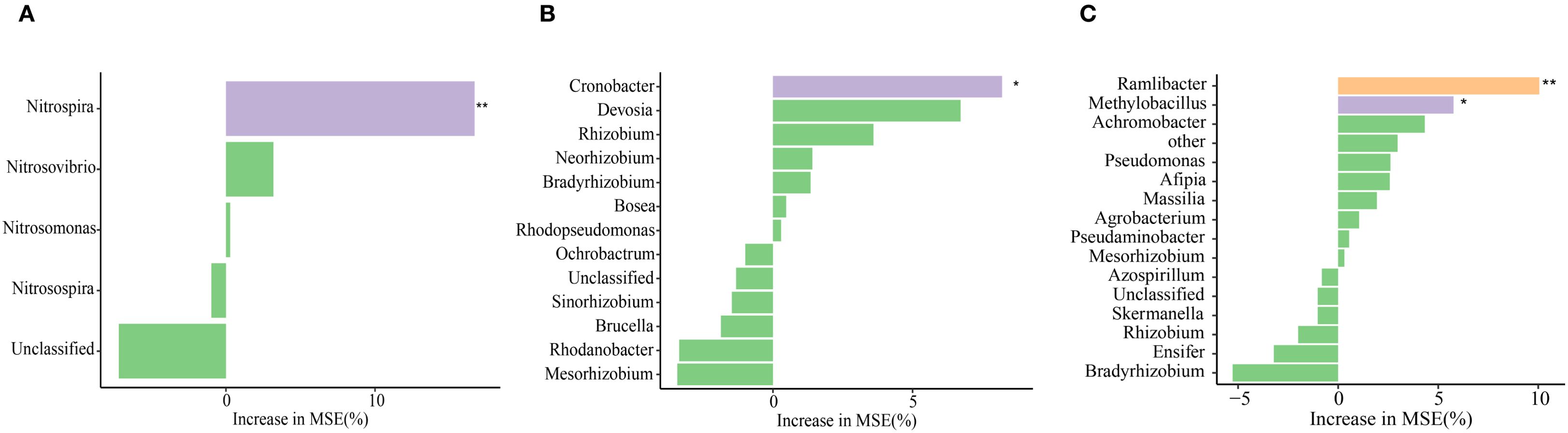 Bar charts labeled A, B, and C show the increase in mean squared error (MSE) percentage for various bacterial genera. Chart A highlights “Nitrospira” with the highest increase. Chart B emphasizes “Cronobacter” with notable values. Chart C shows “Ramlibracter” as having the highest increase. Each chart uses different colors for emphasis, with statistical significance indicated by asterisks.