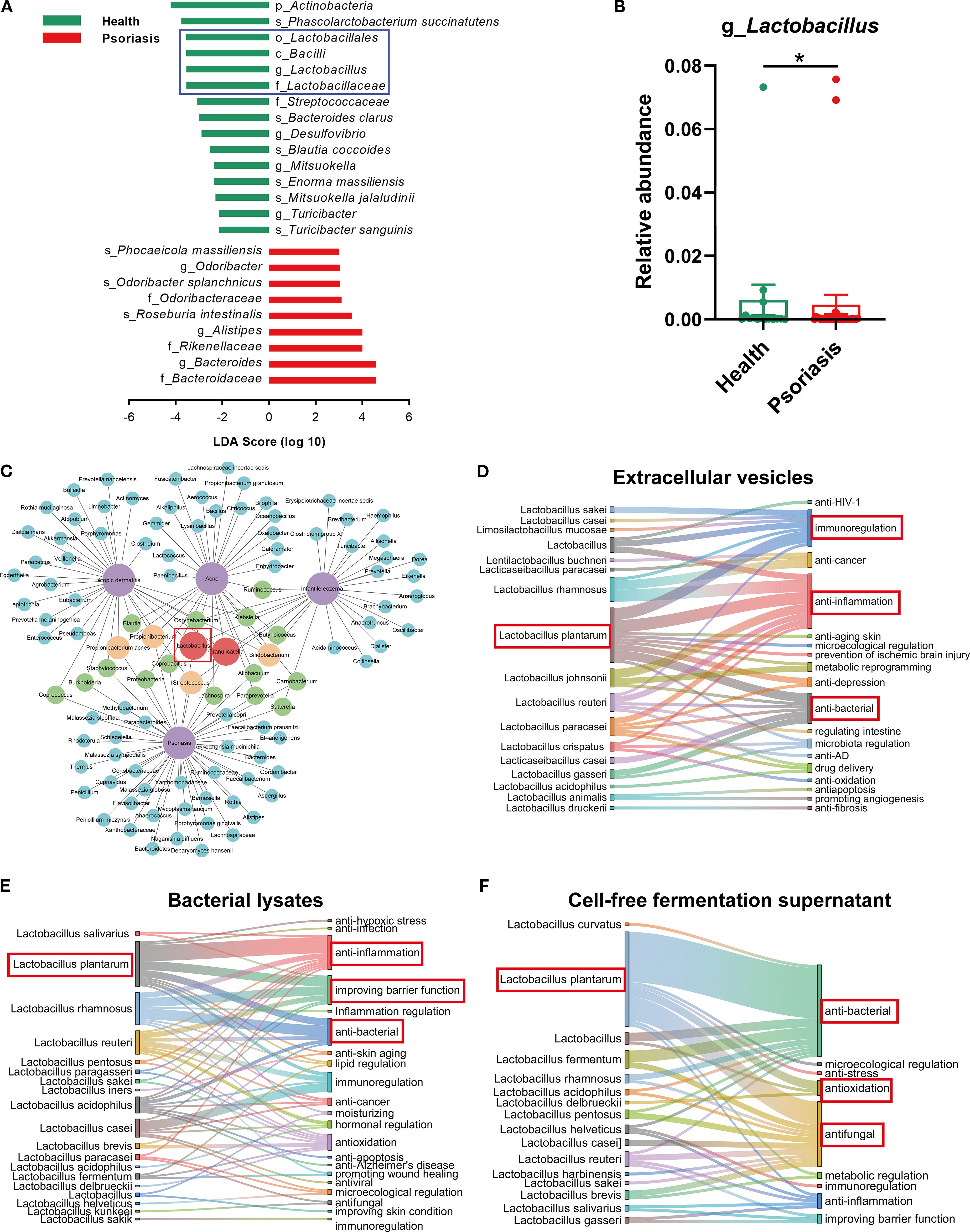 The image contains several panels: Bar chart (A) shows microbial taxa differences between healthy and psoriatic patientis via LDA scores, highlighting Lactobacillus. Dot plot (B) confirms reduced Lactobacillus abundance in psoriasis. Network diagram (C) links downregulated microbiome (e.g., Lactobacillus) to four inflammatory skin diseases including psoriasis. Sankey diagrams (D-F) summarize therapeutic effects of L. plantarum-derived components (extracellular vesicles, bacterial lysates, and cell-free fermentation supernatant) from bibliometric analysis, highlighting anti-inflammatory, antioxidative, and antibacterial effects.