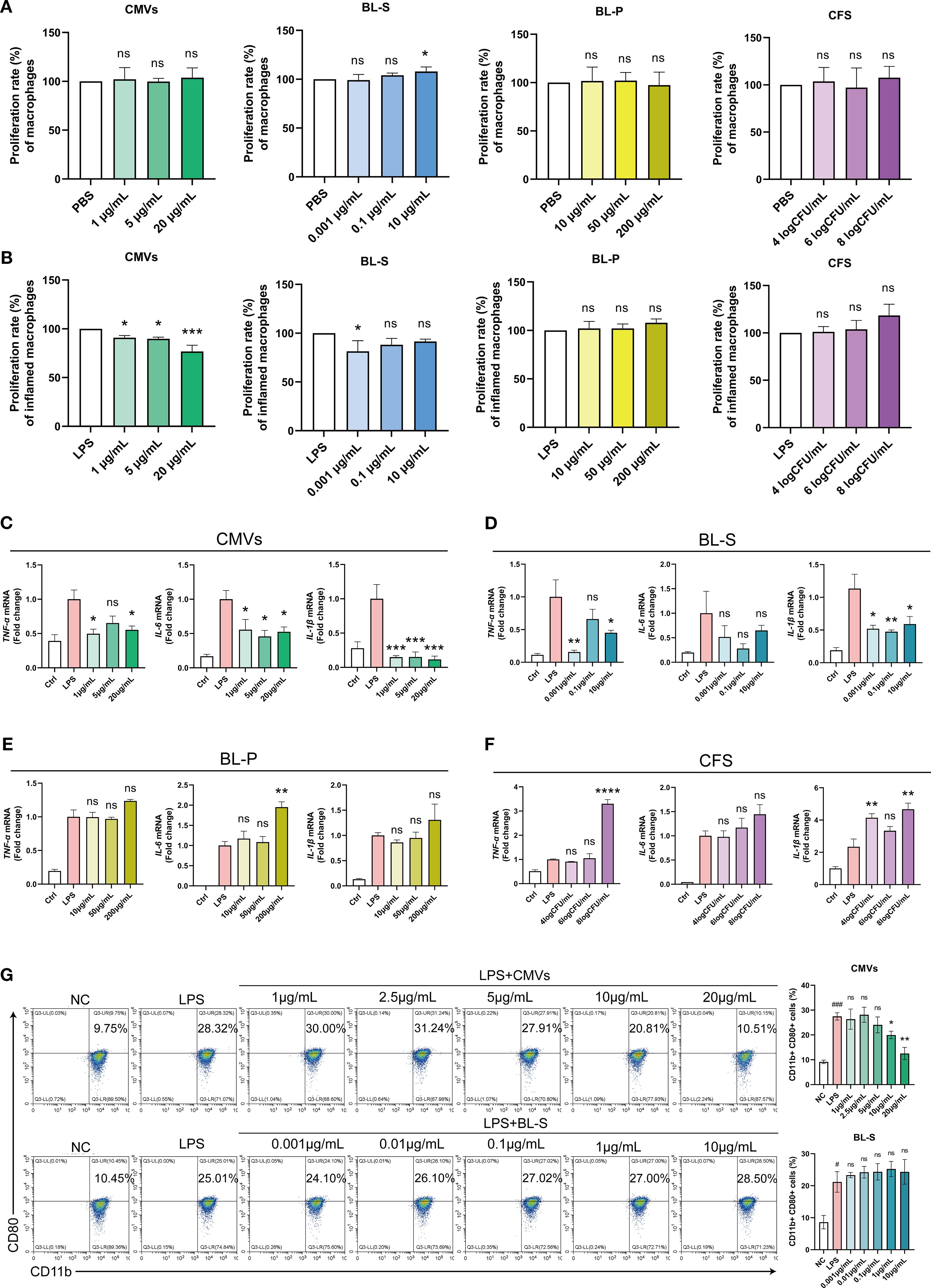 Bar graphs and flow cytometry reveal distinct impacts of L. plantarum components (CMVs, BL-S, BL-P, CFS) on macrophage function. Planes A to F show the proliferation rates of normal or inflammatory macrophages and the mRNA levels of inflammatory factors after treatment with the four components. Notably, CMVs concentration-dependently suppress LPS-induced proliferation (B) and pro-inflammatory cytokine mRNA (TNF-α, IL-6, IL-1β) (C), while BL-S shows partial inhibition (D). Flow cytometry analysis (Panel G) demonstrates the expression of CD80 and CD11b markers under different treatments, revealing that CMVs uniquely reduce CD11b+CD80+ M1 macrophage polarization compared to BL-S.