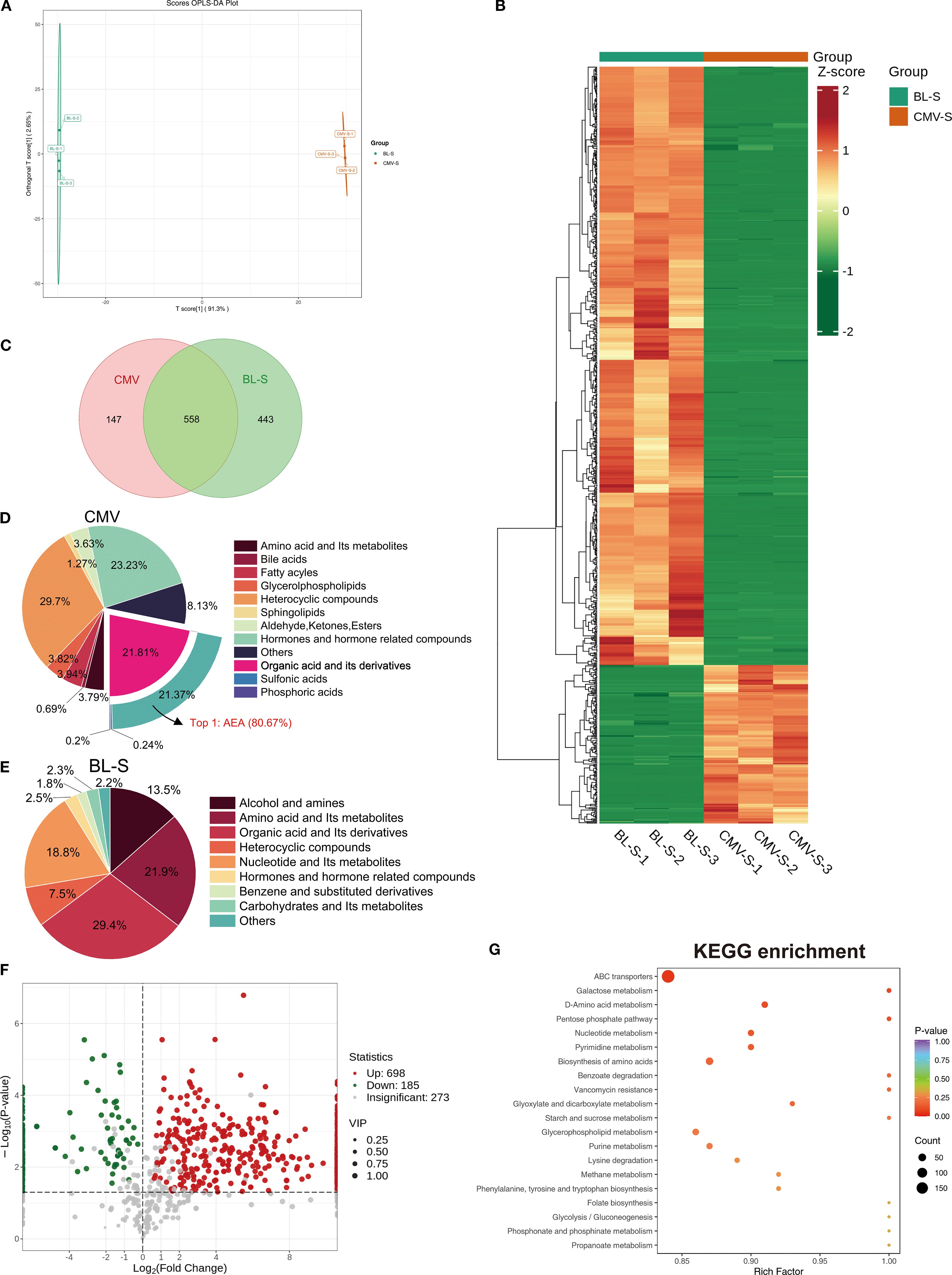 This figure​​ presents comprehensive metabolomic profiling comparing L. plantarum-derived CMVs and BL-S, revealing fundamental compositional differences through OPLS-DA clustering (A), heatmap analysis (B), and Venn quantification of unique/shared metabolites (C). Pie charts (D-E) demonstrate CMVs' enrichment in organic acids (notably anandamide comprising 17.24% of total metabolome) versus BL-S' amino acid dominance. Volcano plot (F) confirms 13.9-fold higher anandamide in CMVs, while KEGG analysis (G) identifies ABC transporters and glycerophospholipid metabolism as top differentially regulated pathways, establishing distinct molecular signatures underlying their functional divergence.