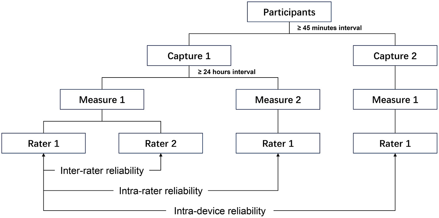 Flowchart depicting a reliability analysis design. Participants underwent Capture 1 and Capture 2 with intervals of at least forty-five minutes. Capture 1 and Capture 2 were both measured by Rater 1 to evaluate intra-device reliability. Capture 1 was measured twice by the Rater 1, with a minimum interval of twenty-four hours between Measure 1 and Measure 2, to evaluate intra-rater reliability. Capture 1 was measured by both Rater 1 and Rater 2 to evaluate inter-rater reliability.